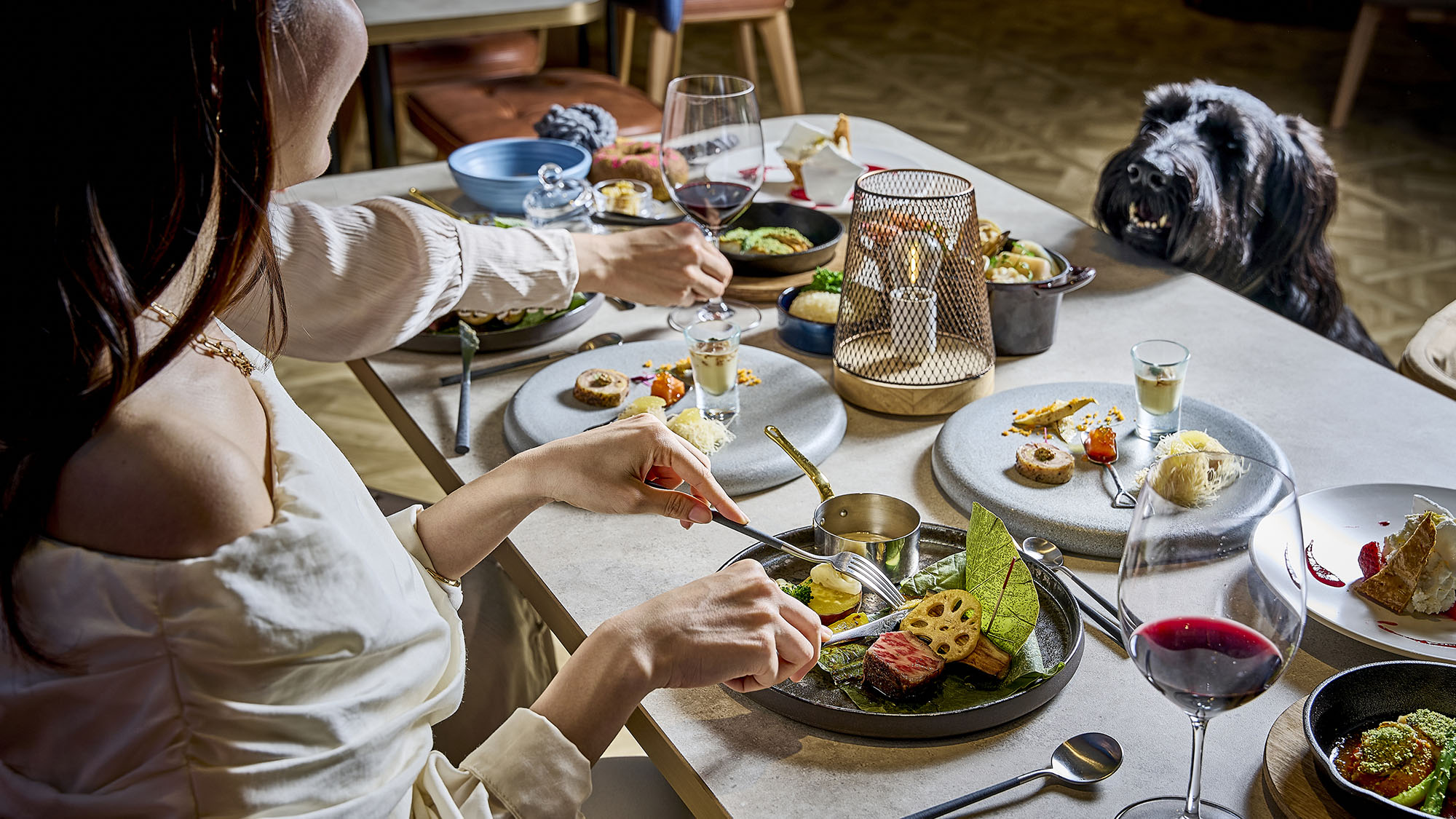 ワンちゃんと一緒のディナー