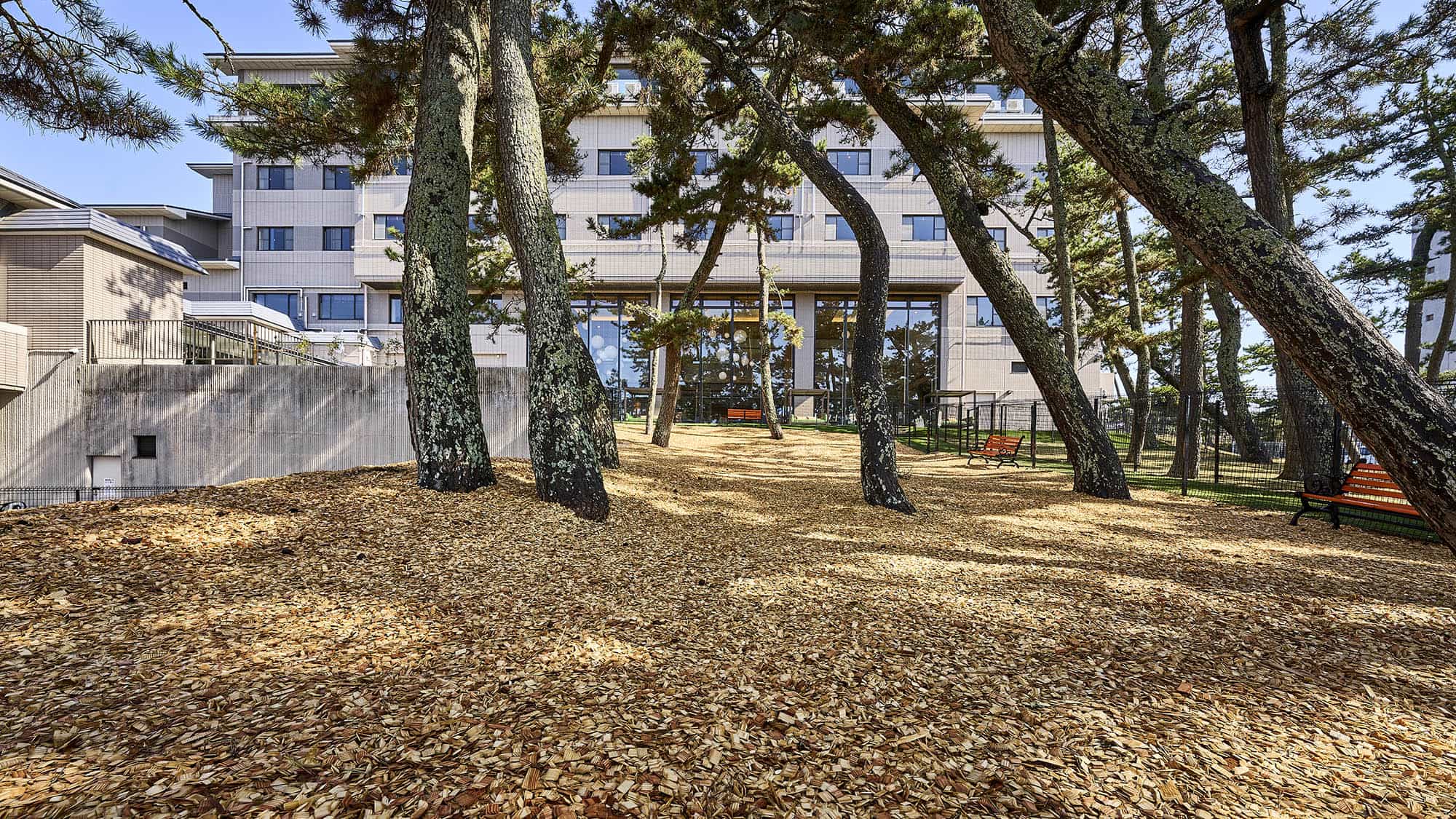 屋外ドッグラン