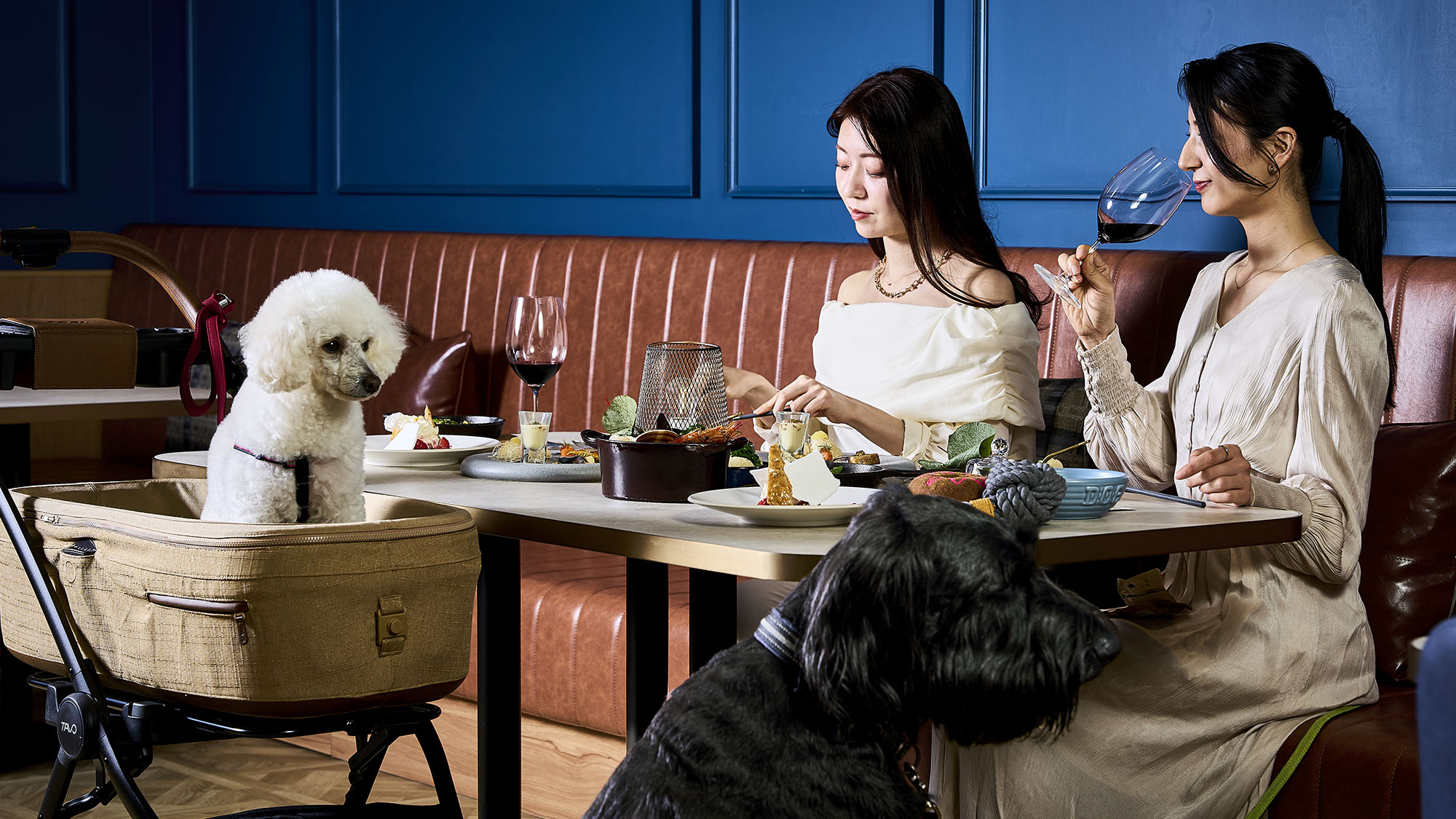 ワンちゃんと一緒のディナー