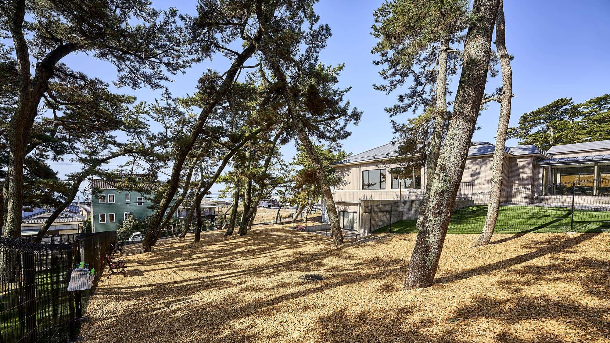 屋外ドッグラン