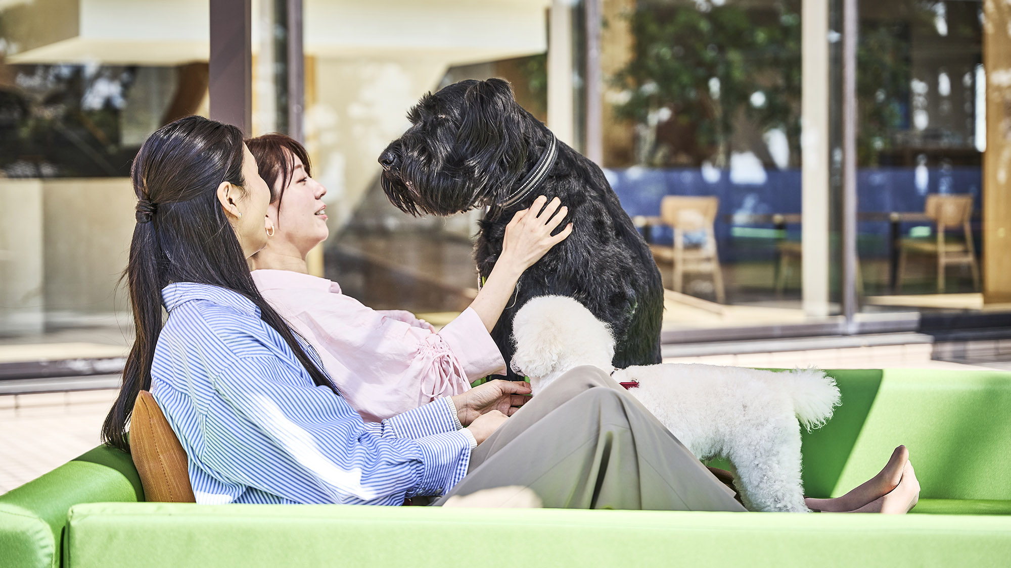 ワンちゃんと一緒