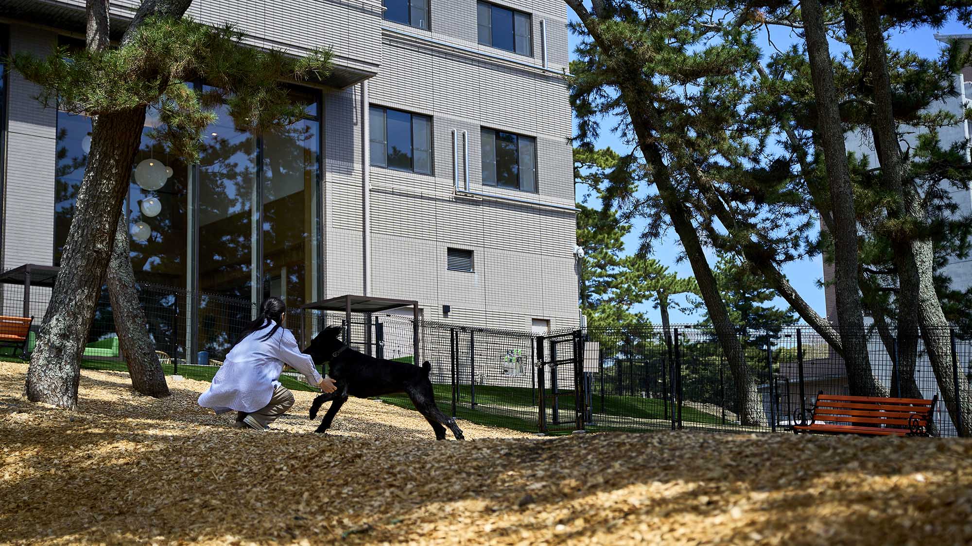 屋外ドッグラン