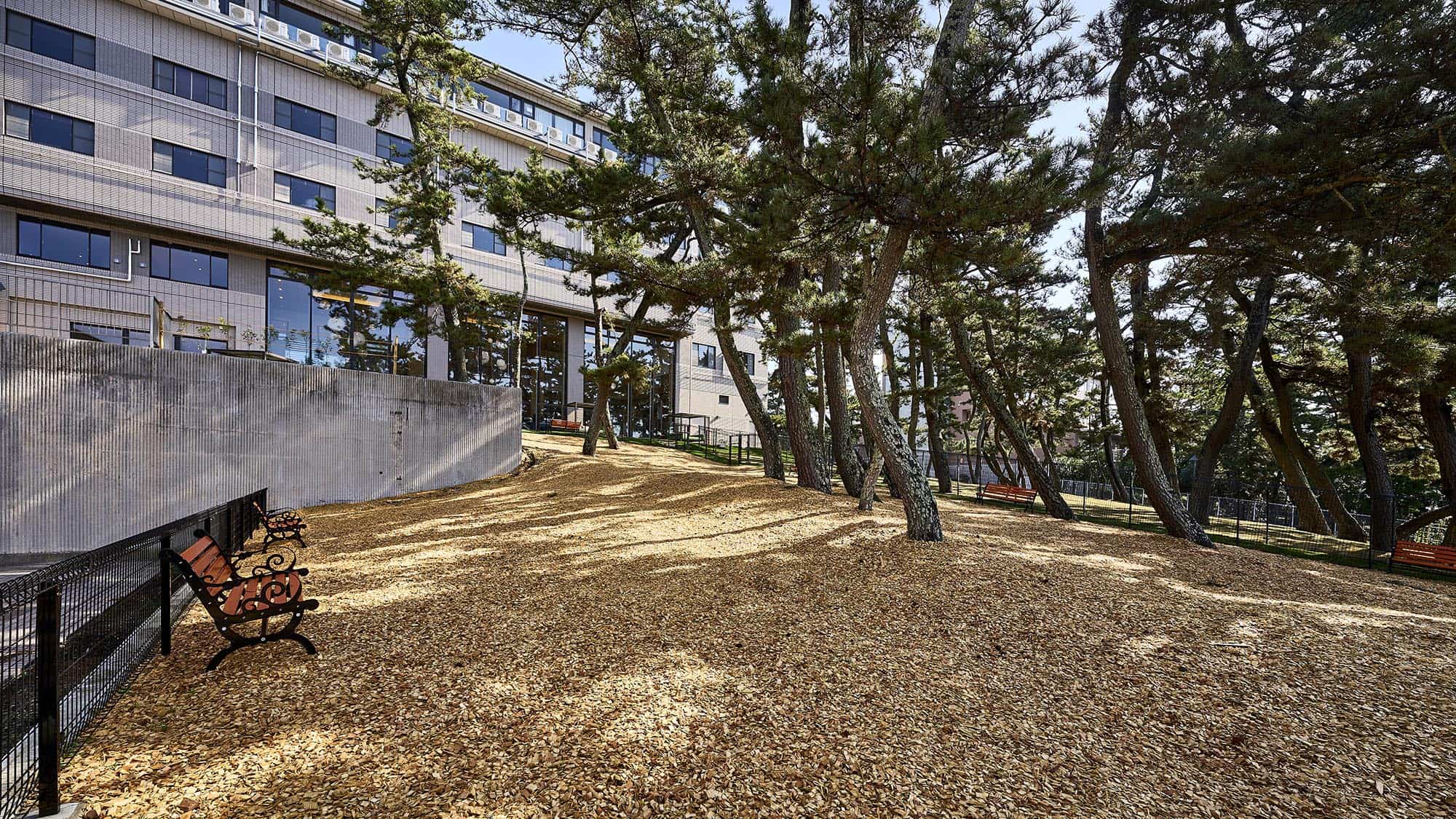 屋外ドッグラン