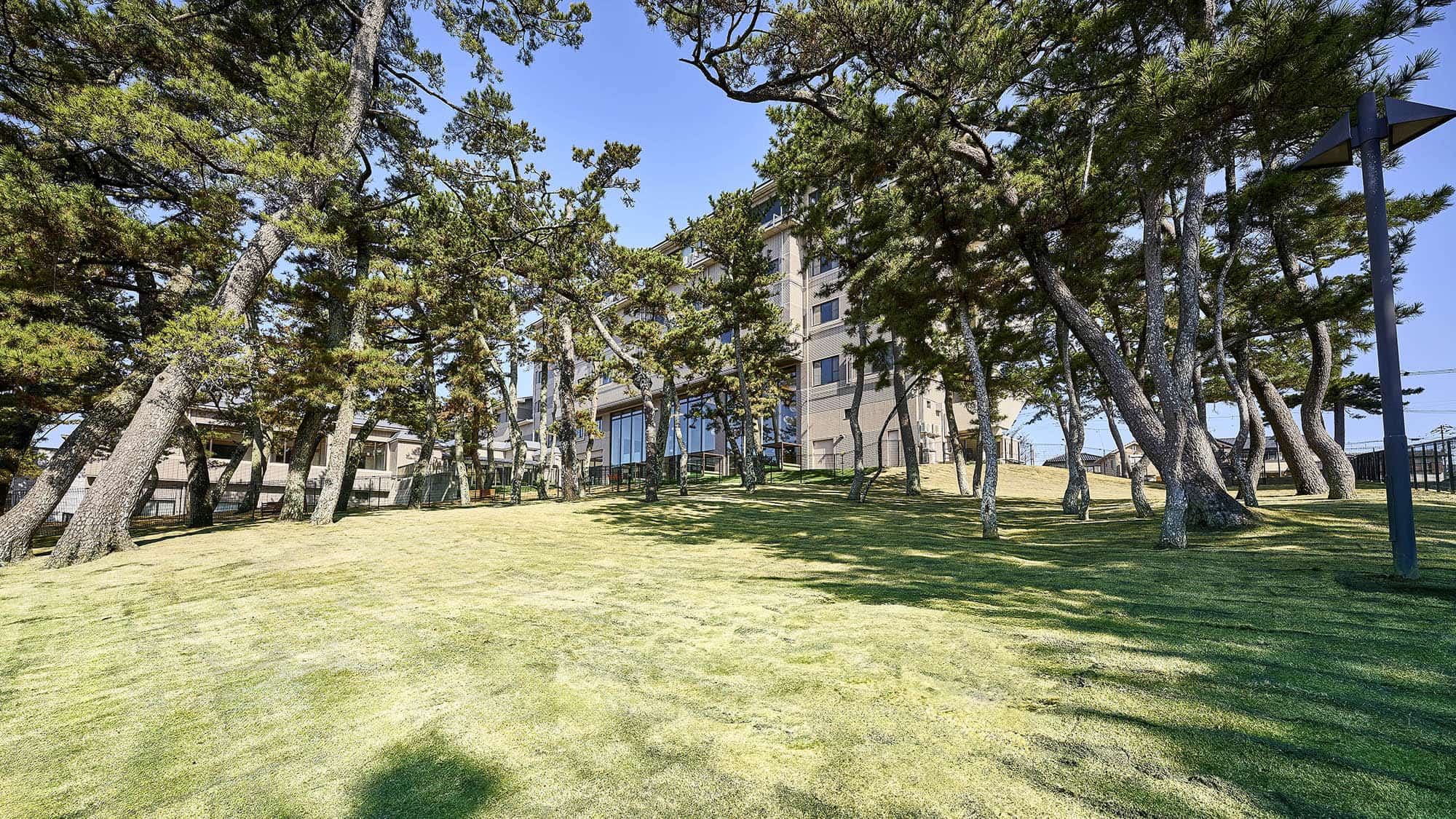 屋外ドッグラン