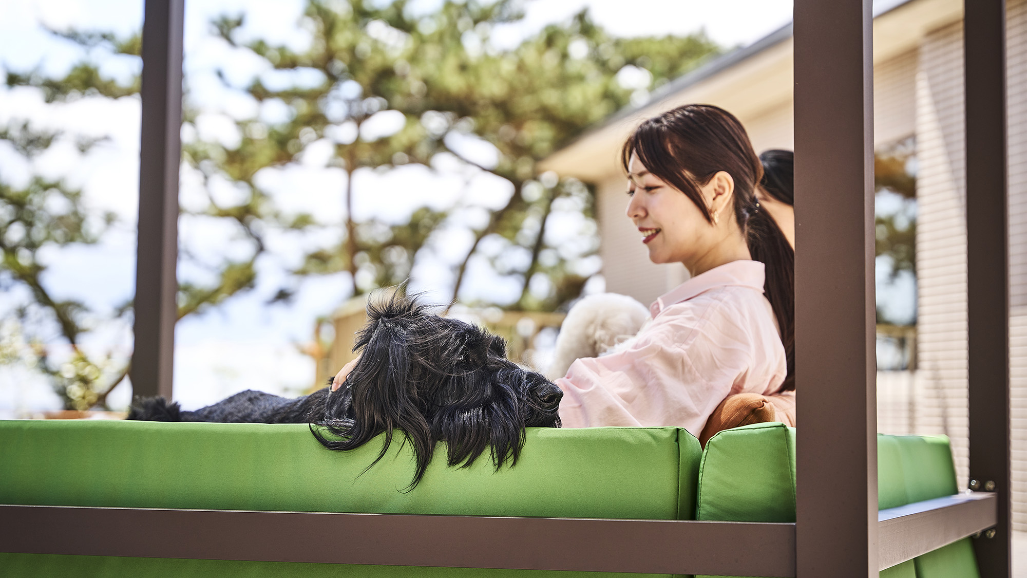 屋外ドッグラン