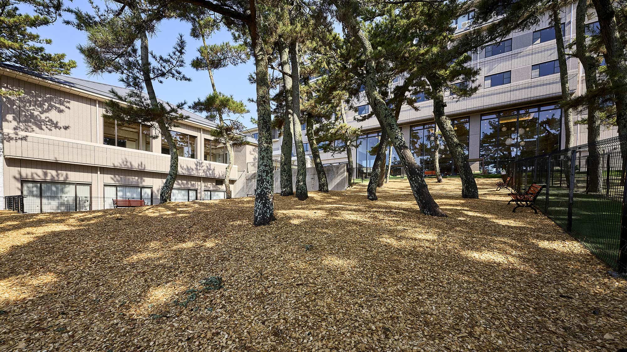 屋外ドッグラン