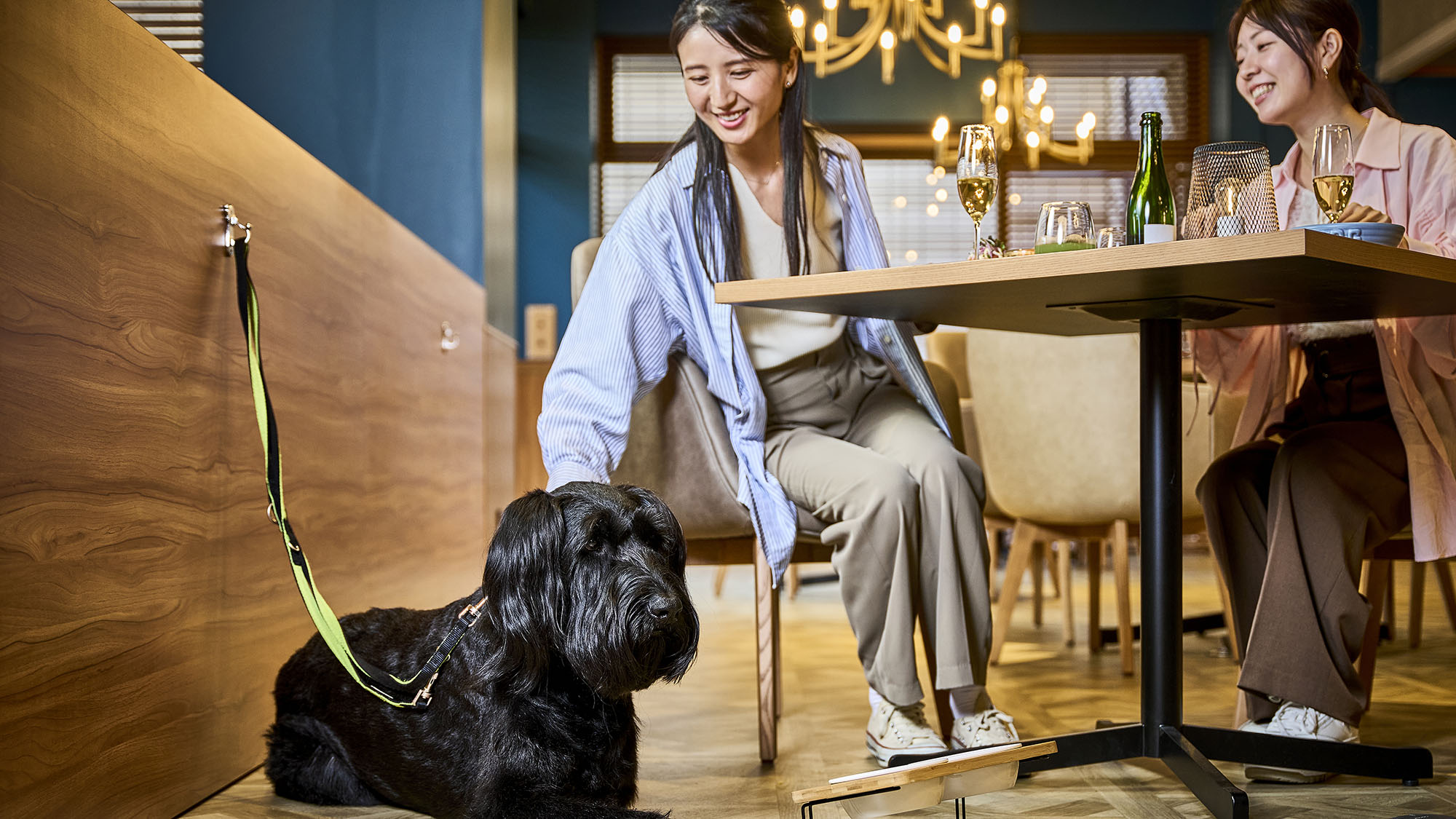 ワンちゃんと一緒のディナー