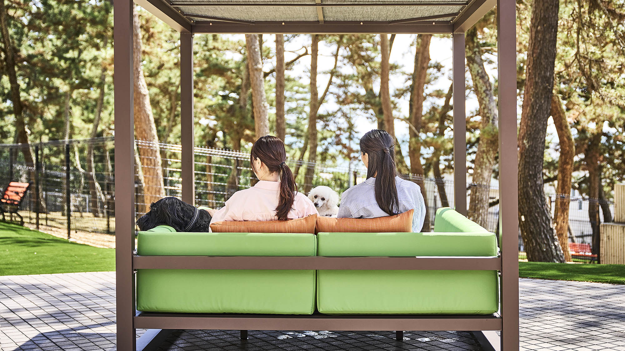 屋外ドッグラン