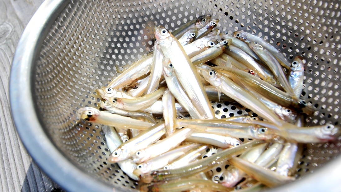 【木崎湖ワカサギ釣り】釣った魚の調理サービス＆翌日の昼食弁当付！湖畔の温泉宿《１泊３食付》