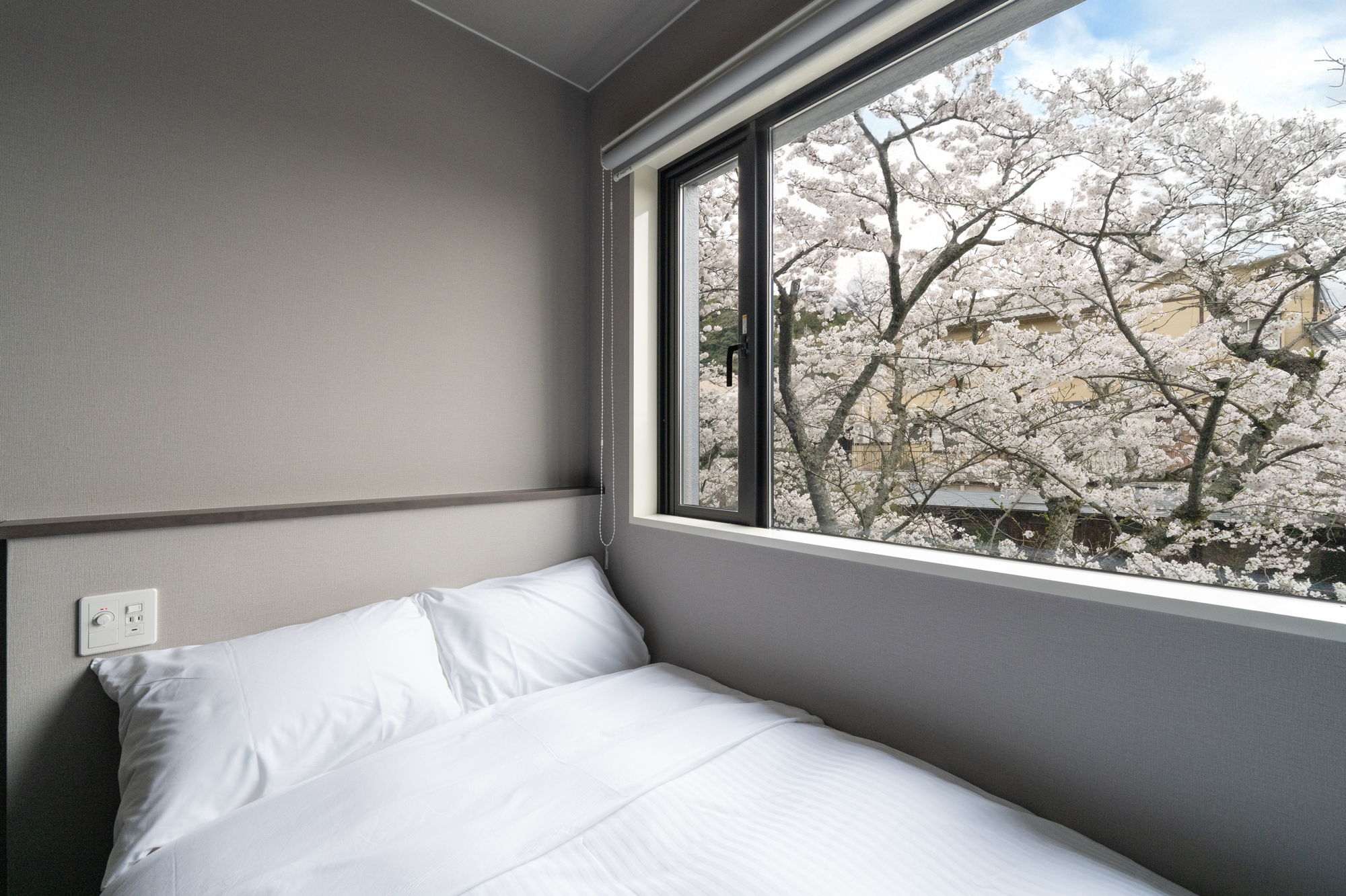 スタンダードダブル