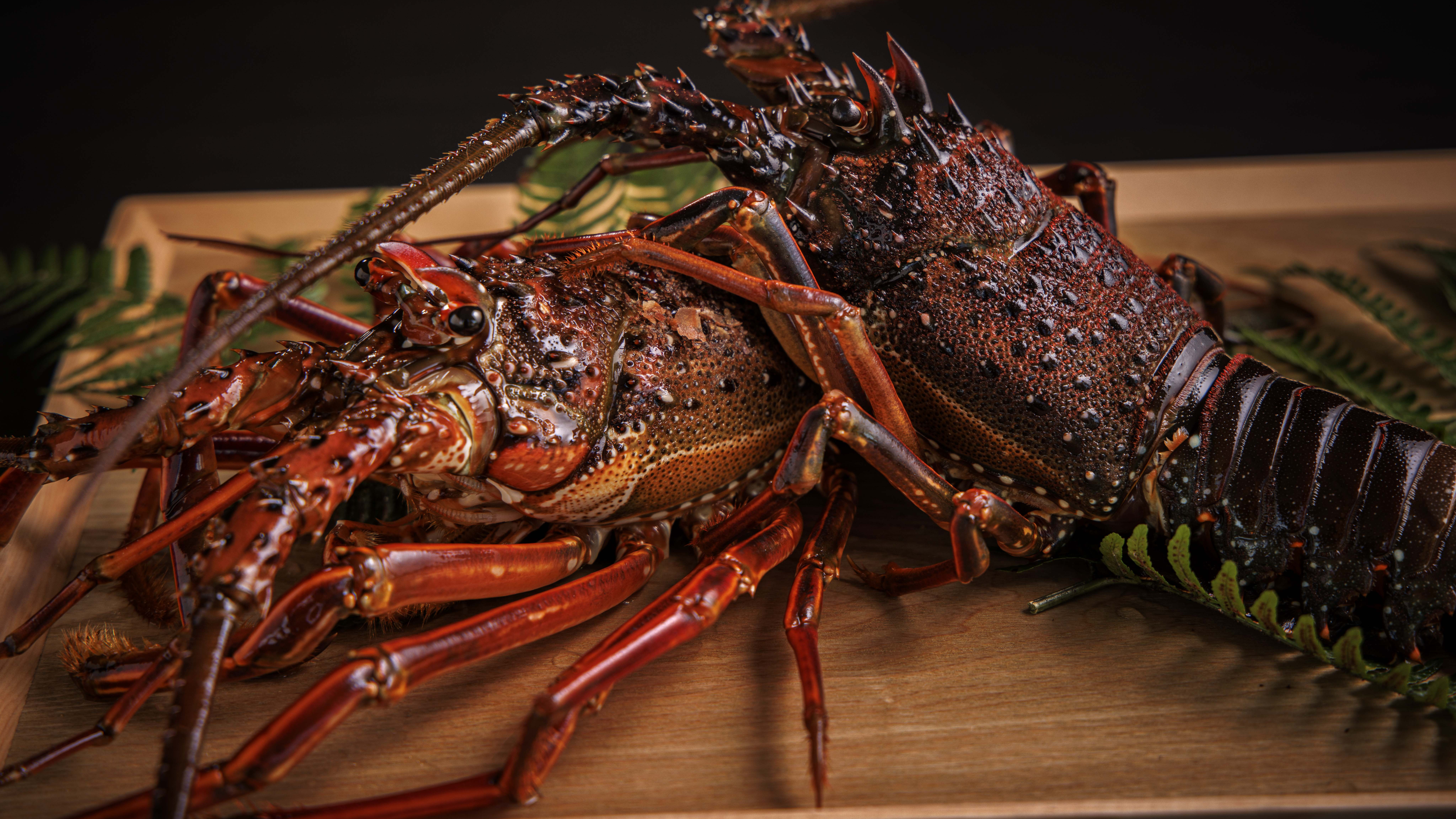 海と大地が育んだ最高の食材（一例）