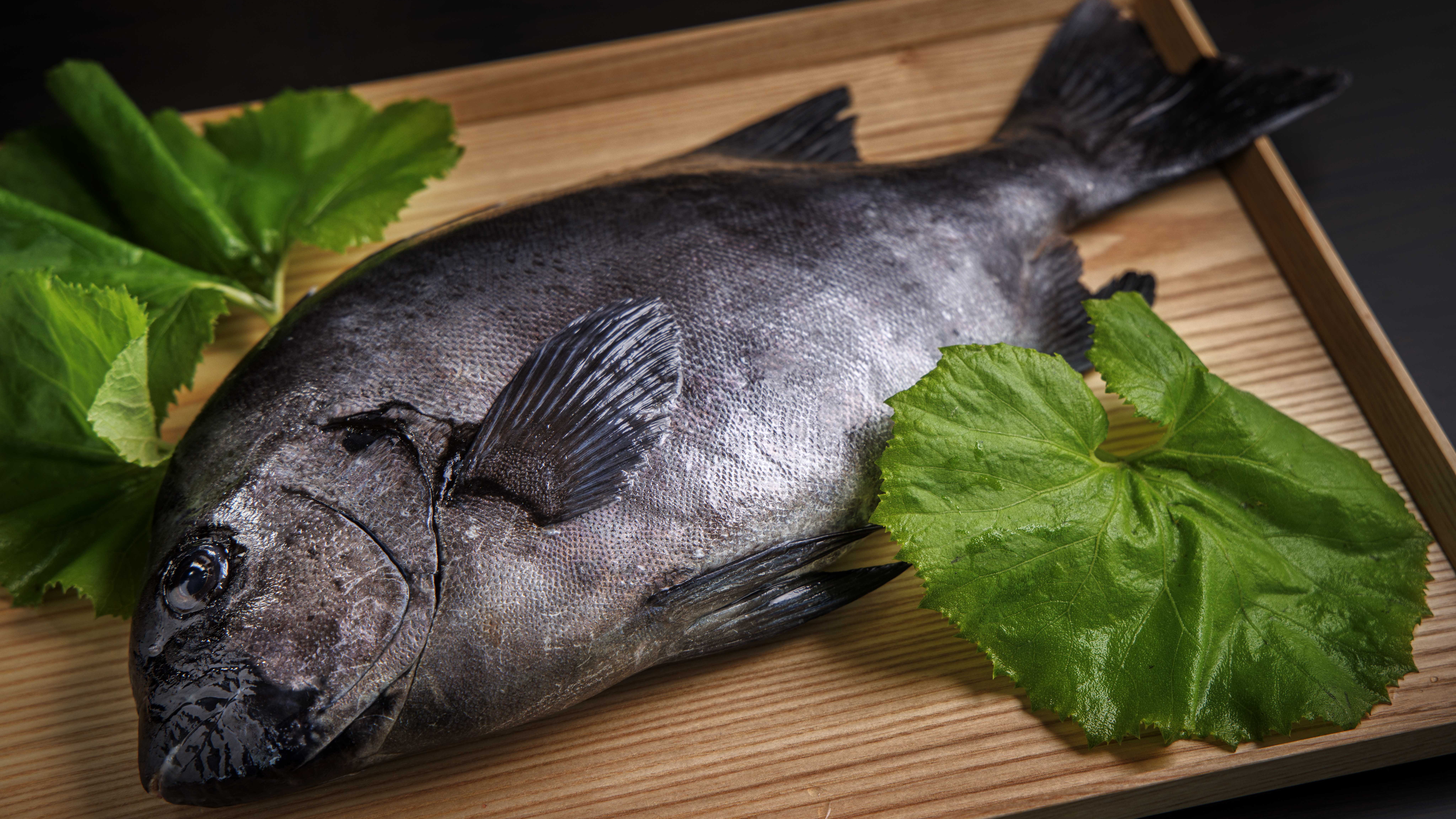海と大地が育んだ最高の食材（一例）