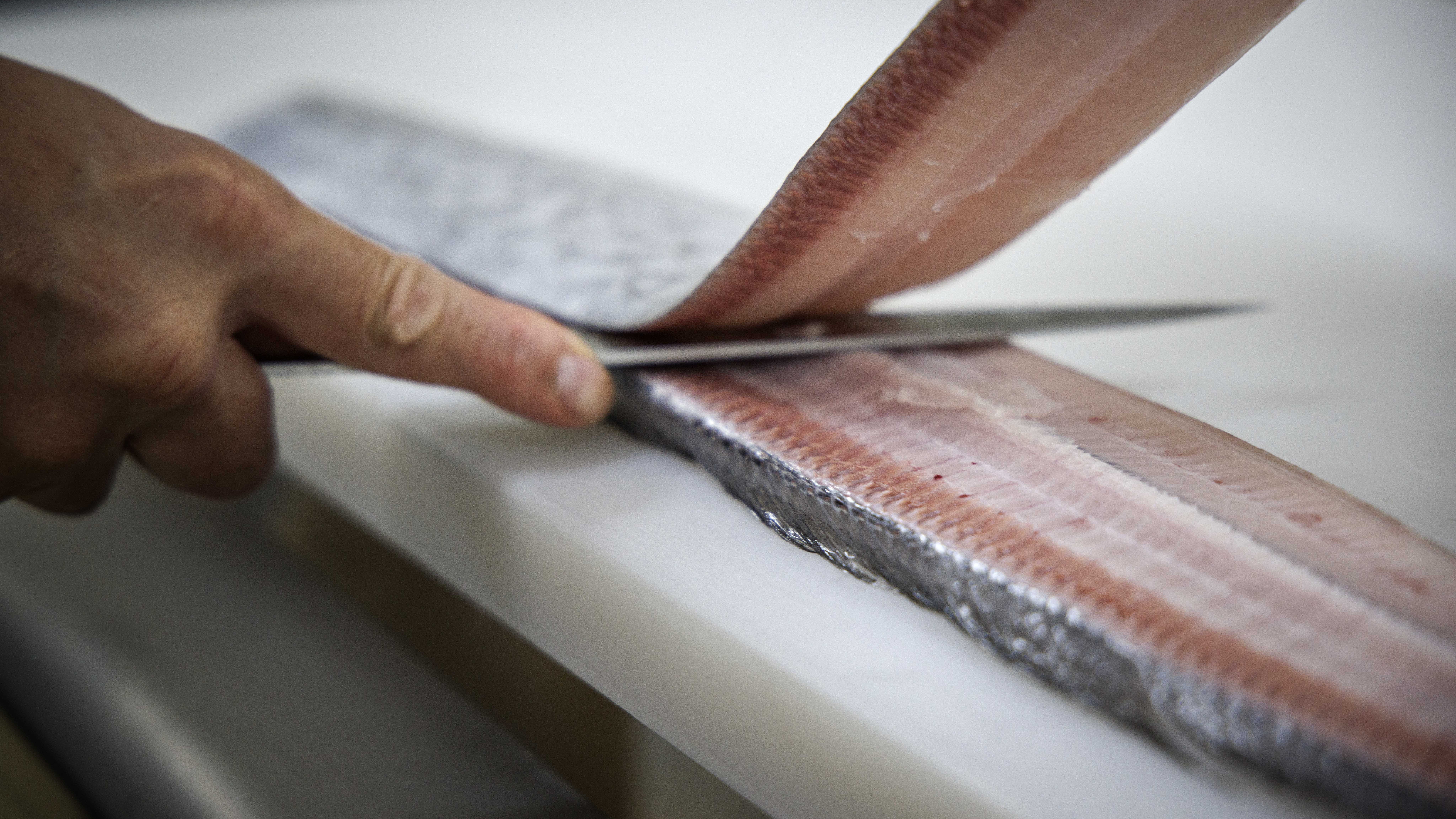 海と大地が育んだ最高の食材（一例）