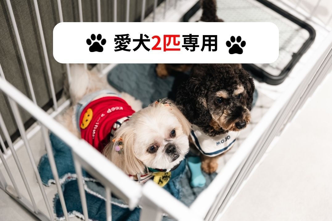 【素泊まり・愛犬2匹お連れの方はこちら】愛犬連れ専用棟「EARTH」