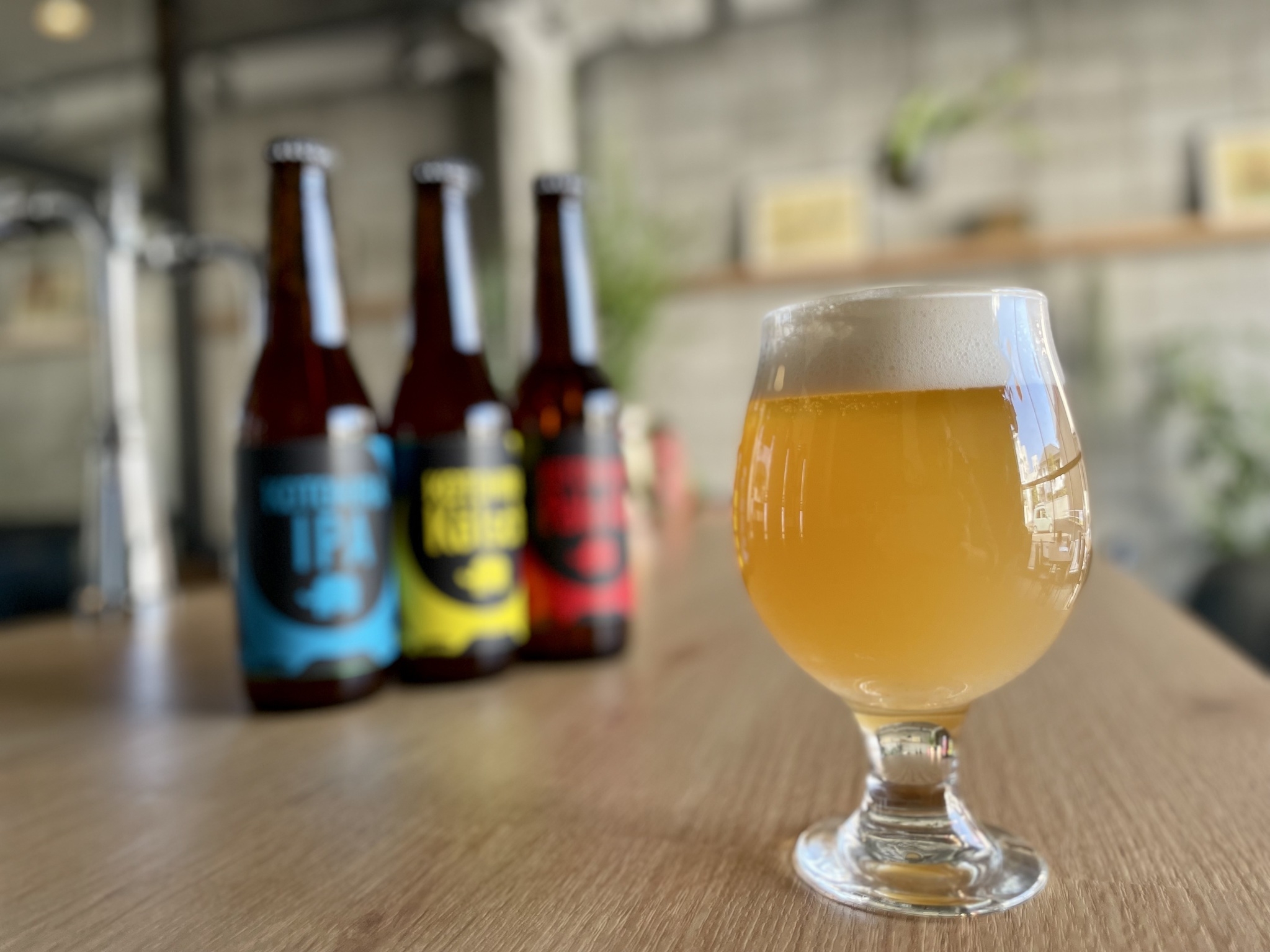 【大人の工場見学】呑象ブリューイング工場見学プラン