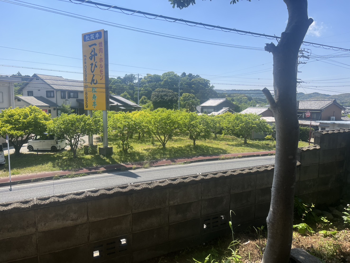 和室からの景色。