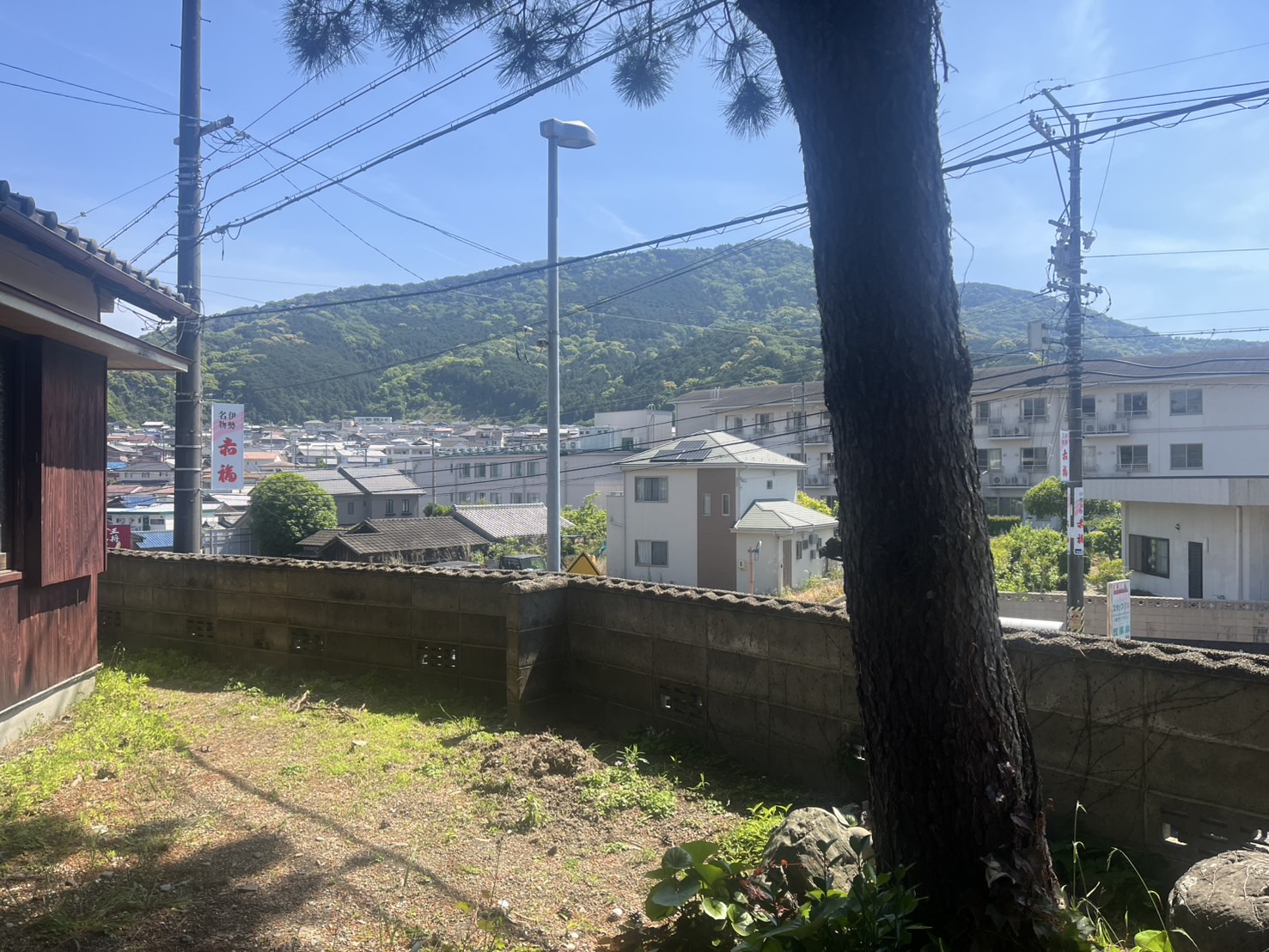 和室からの景色。庭。