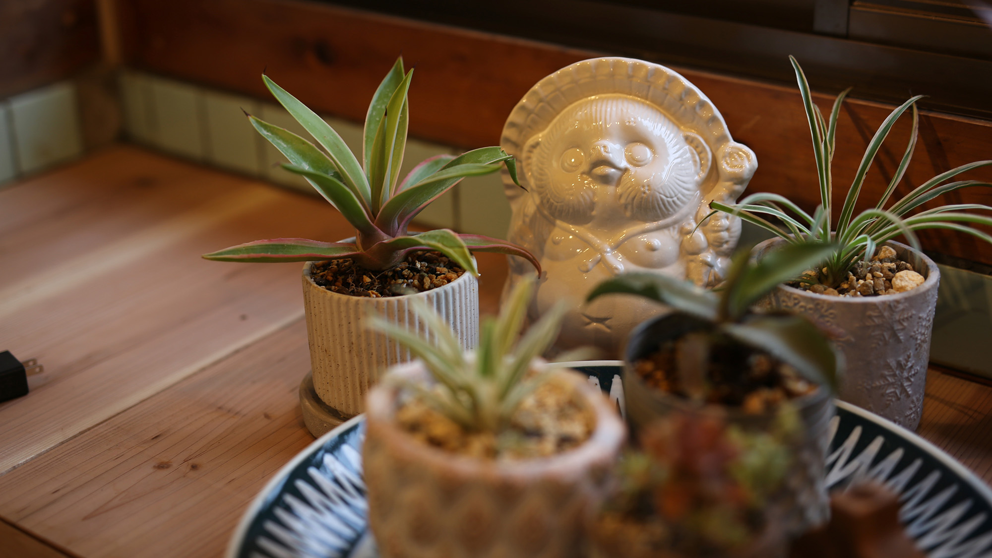 ・【インテリア】緑に囲まれたタヌキの置物がほっこり和ませる癒し空間