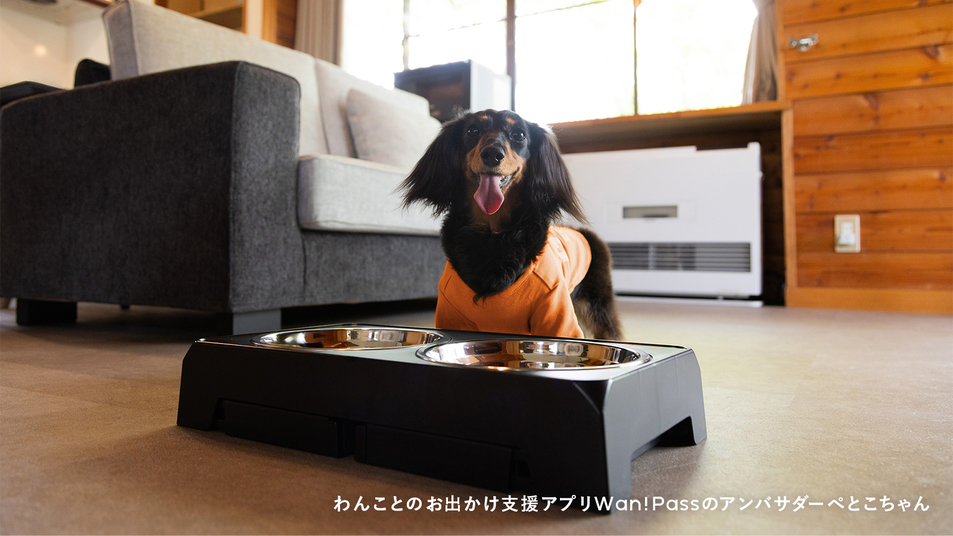 rinne 2nd living Kitakaruizawa