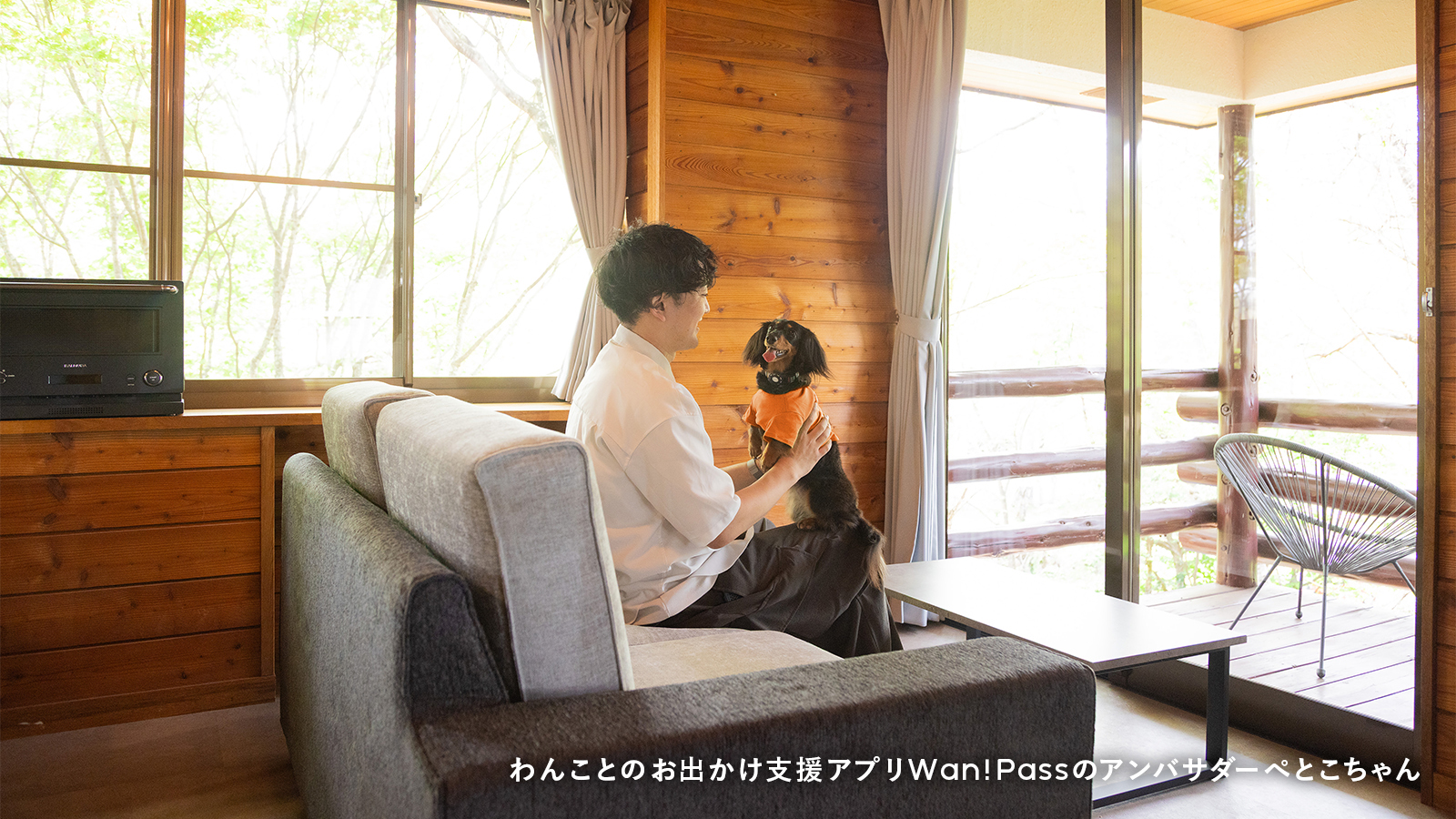 リビングでもワンちゃんとのんびり過ごしていただけます