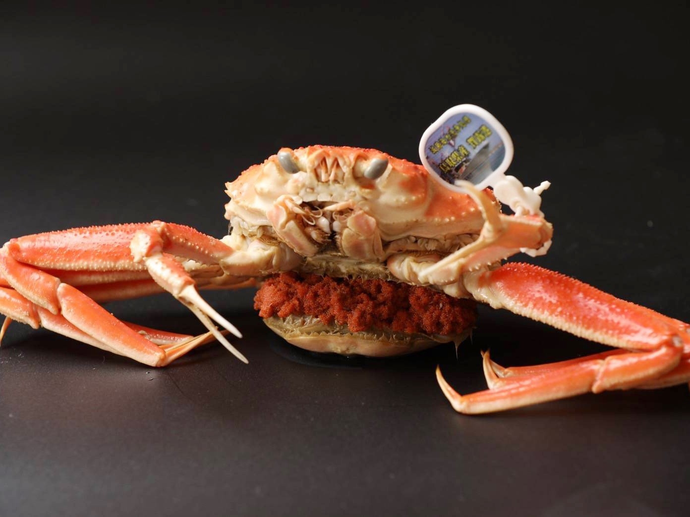 ≪冬季限定☆タグ付き松葉ガニを楽しむ！≫活松葉ガニ1枚の贅沢な蟹会席