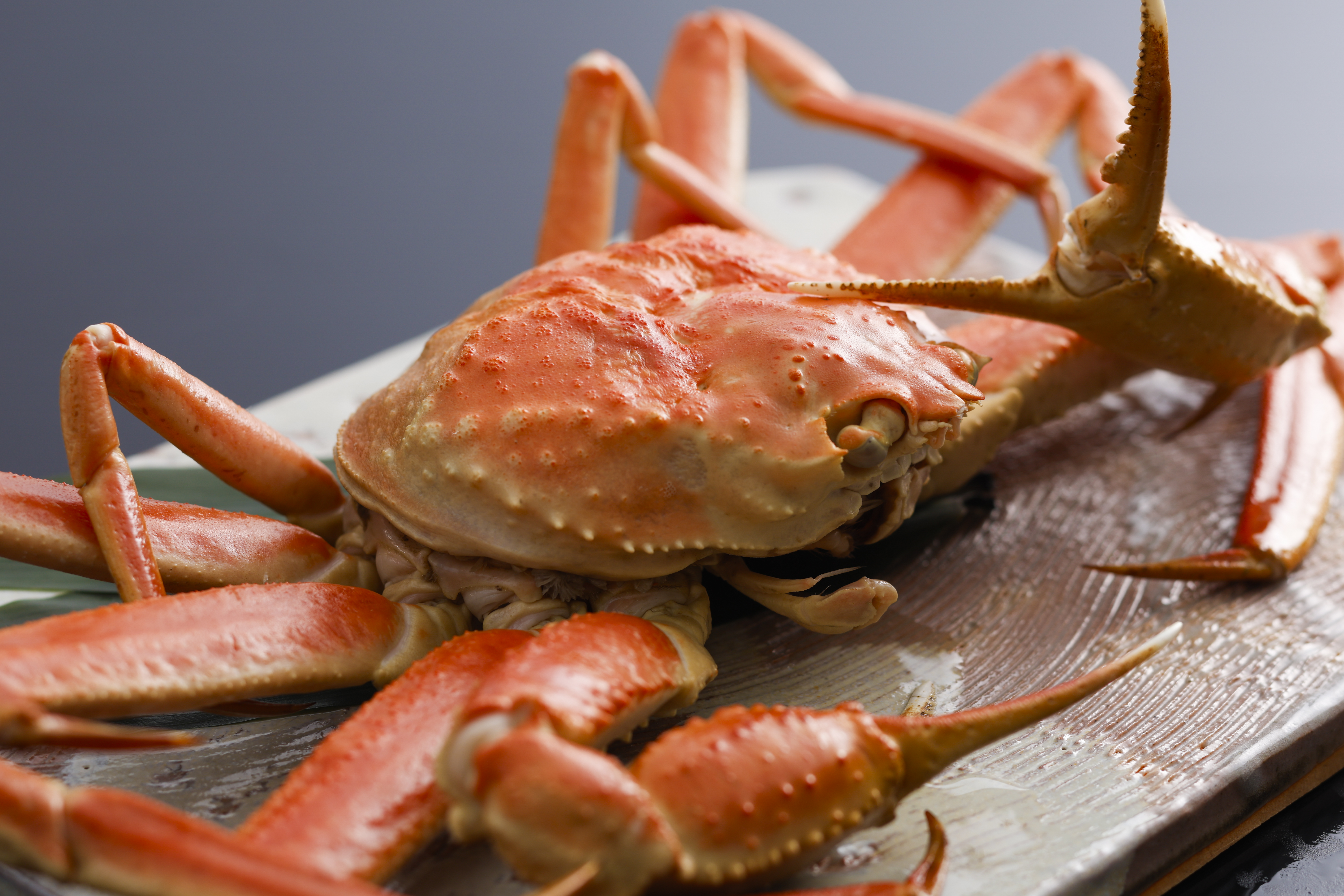 冬のズワイガニ