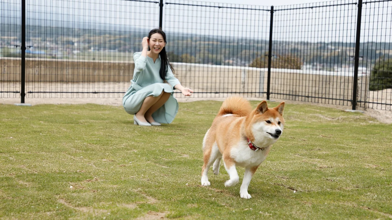 共用ドッグラン