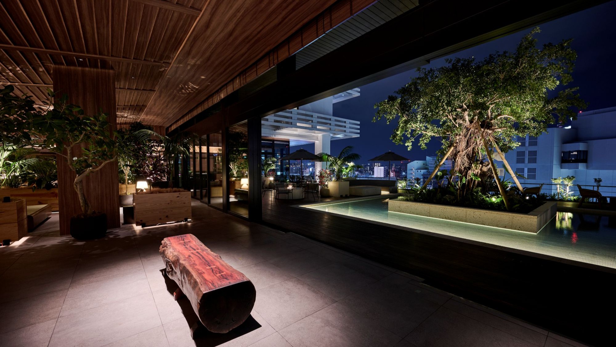 シンボルツリーのガジュマル。