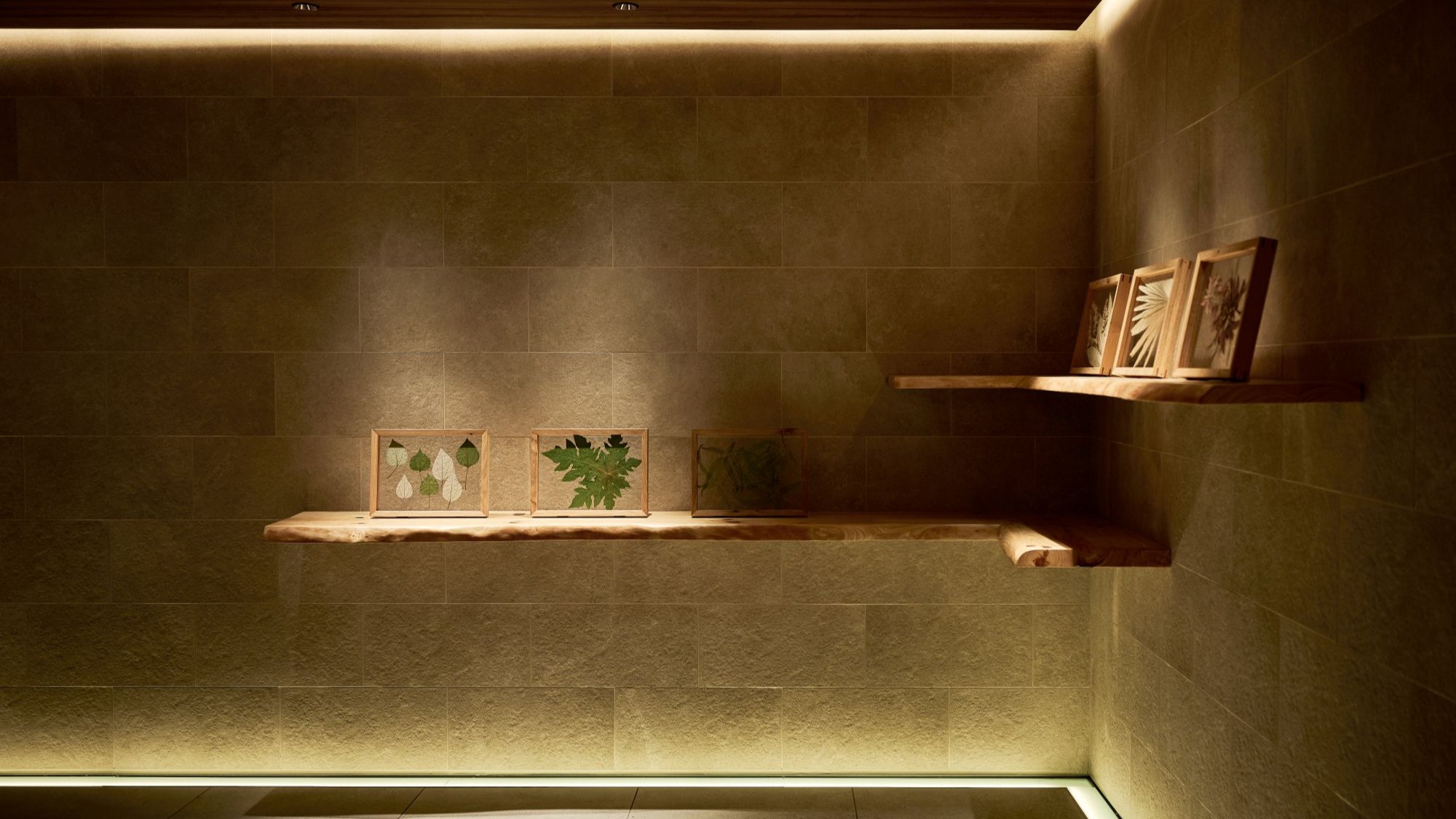 7F エレベーターホールエリア