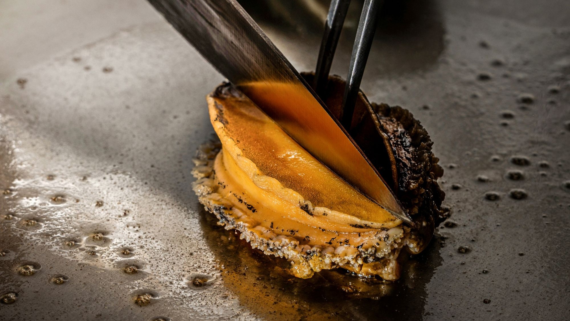 鉄板焼 「琉火（リュウビ）」　料理イメージ