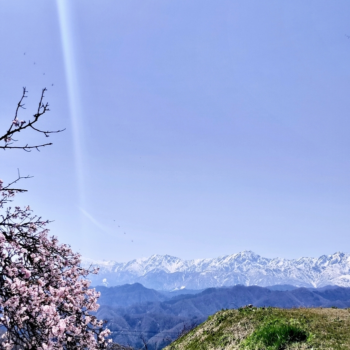 【前日までキャンセル料が無料】春の絶景撮影応援プラン
