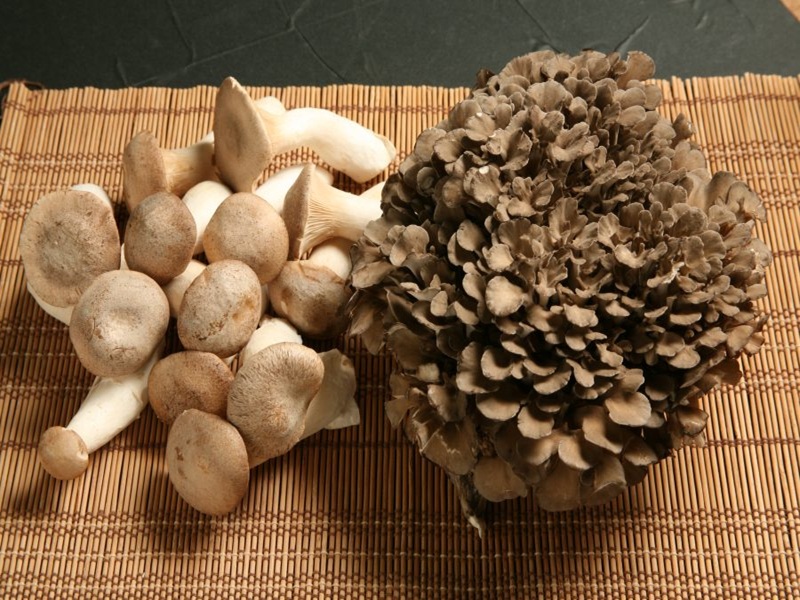 名産品：奥出雲舞茸・エリンギ