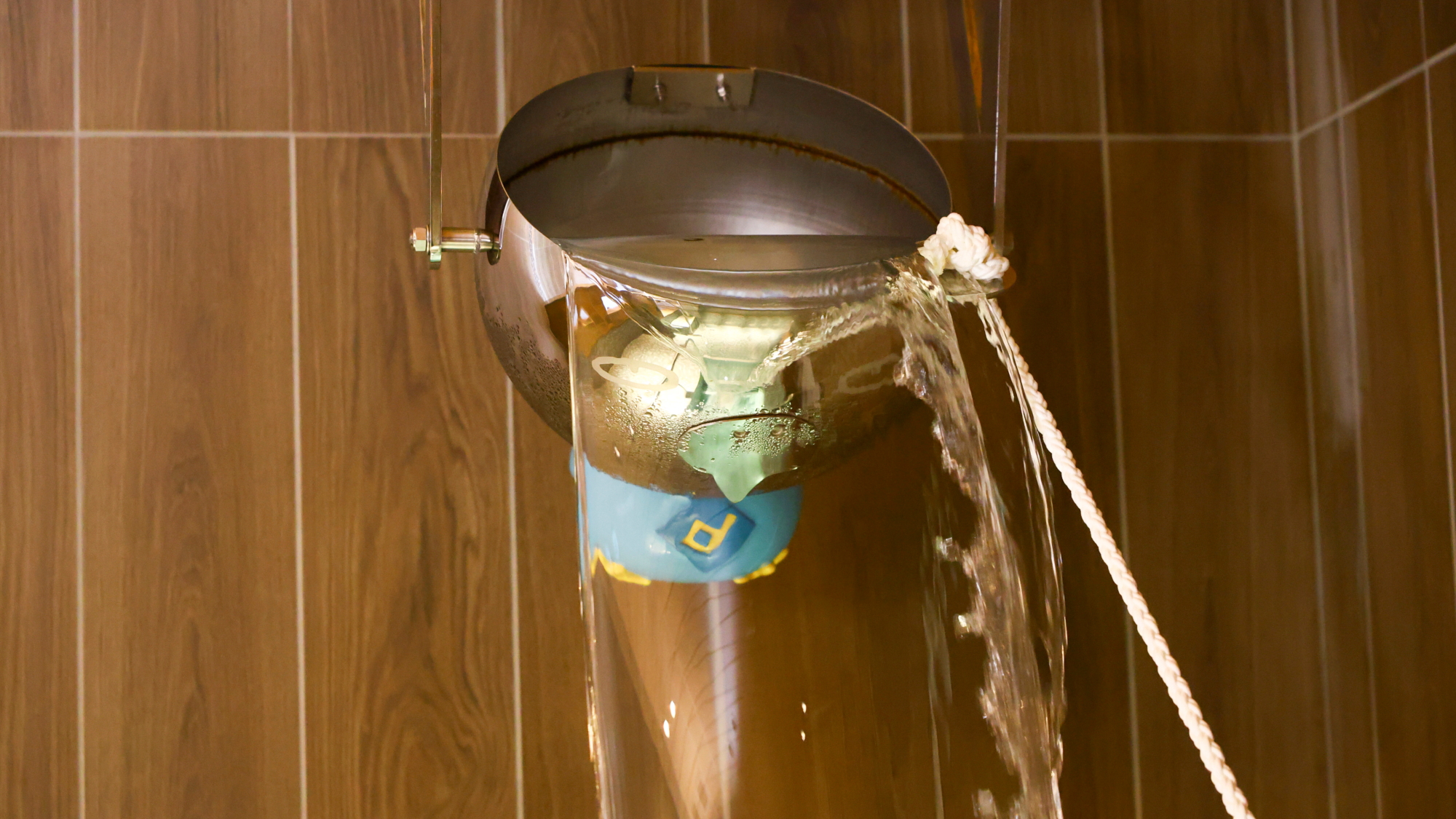 【いんこの一撃】水風呂で新たな爽快体験！