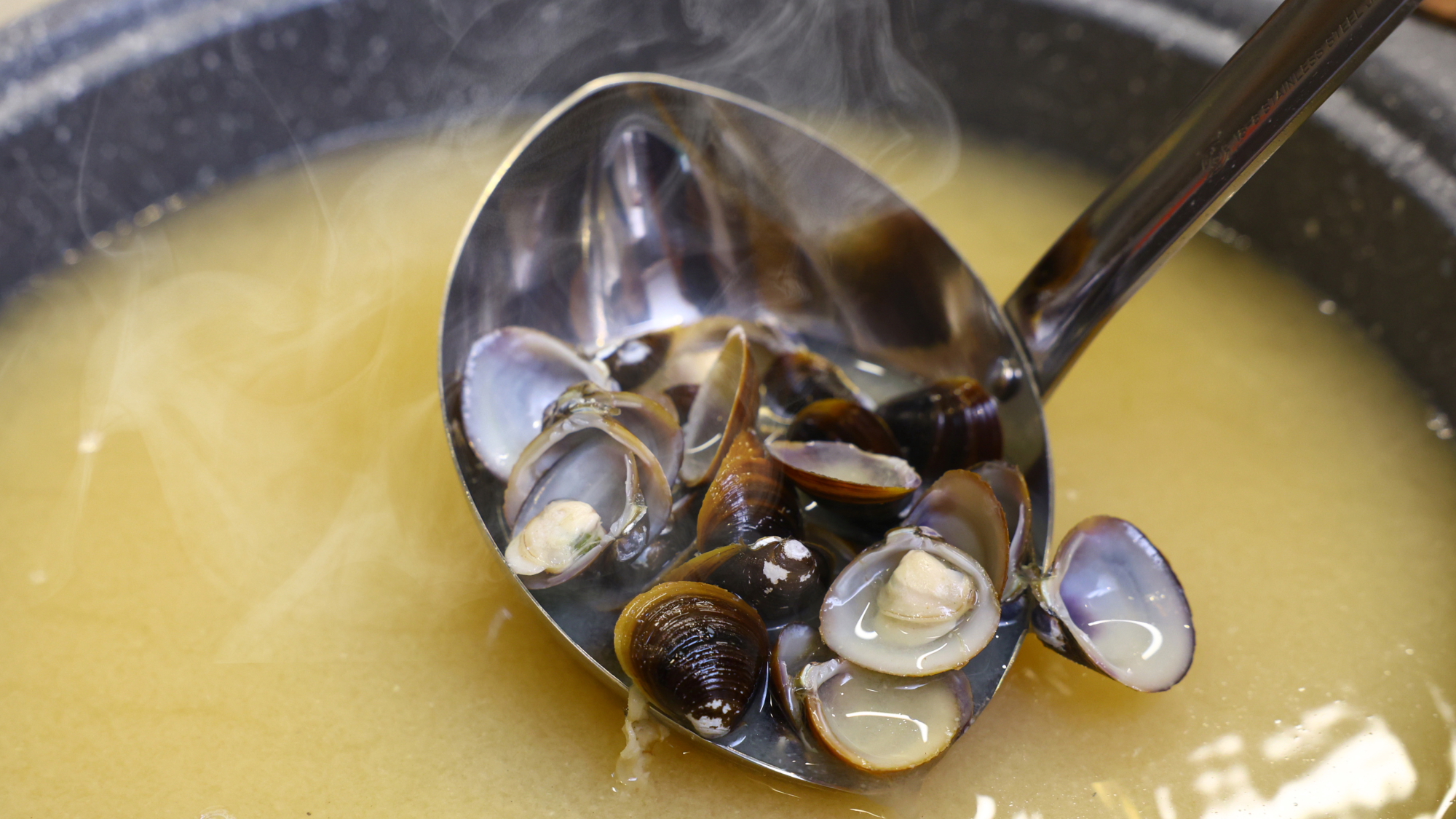 【日替わり提供】宍道湖産「しじみ」の味噌汁