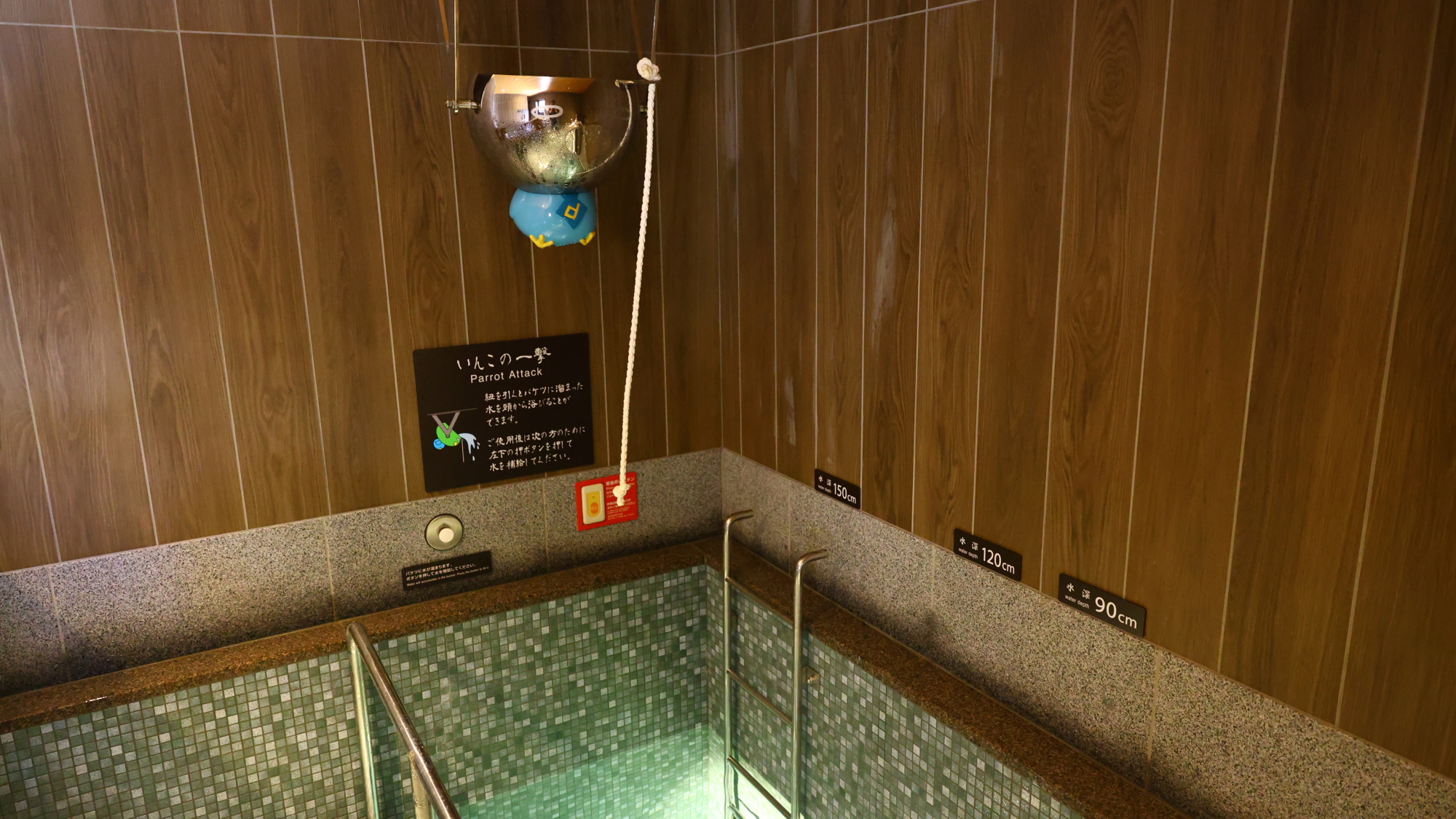 【いんこの一撃】水風呂で新たな爽快体験！