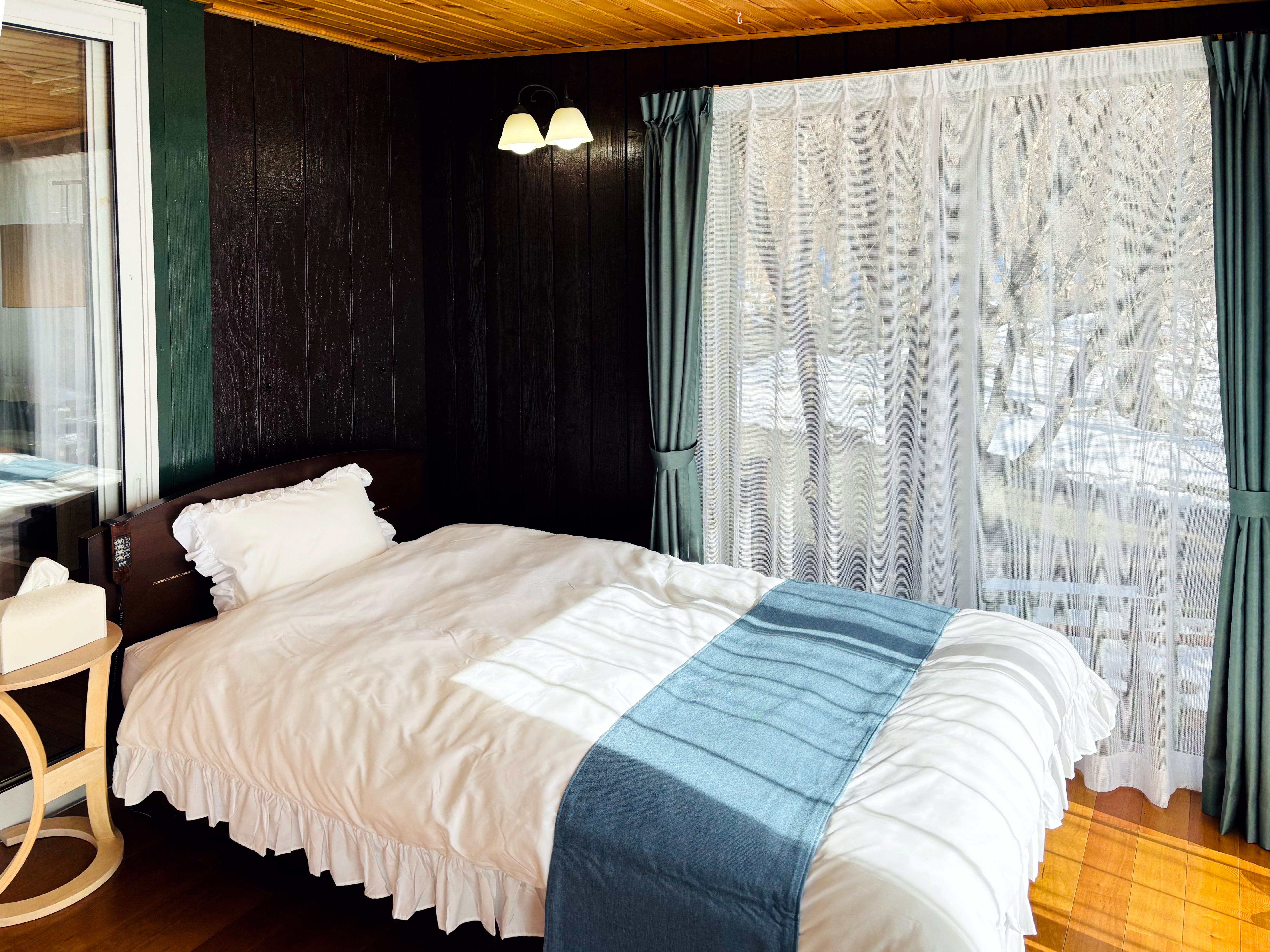 サンルームの電動セミダブルベッド