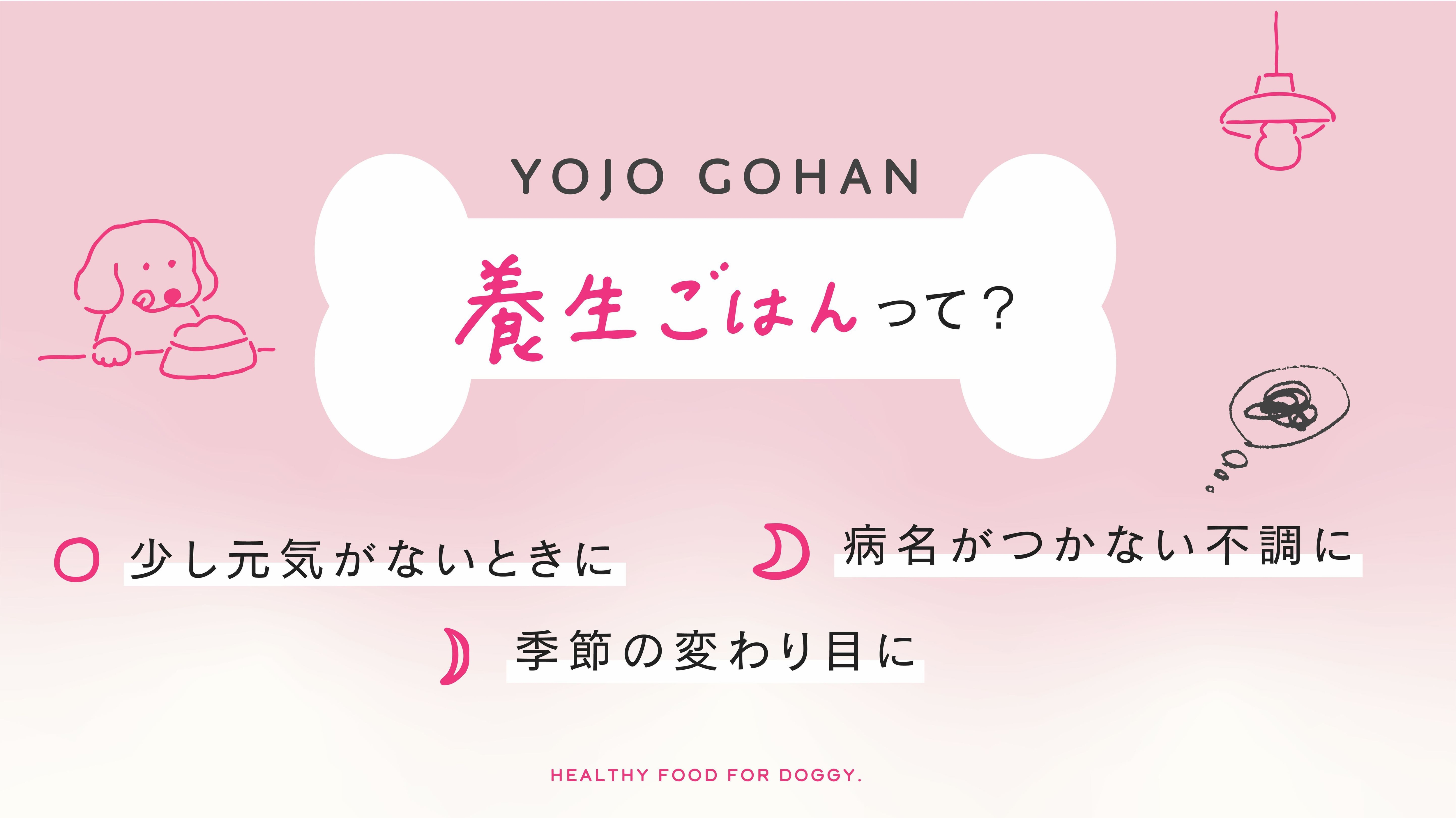 【5/7START】愛犬は薬膳『わんこ朝食』／家族はレストラン朝食付
