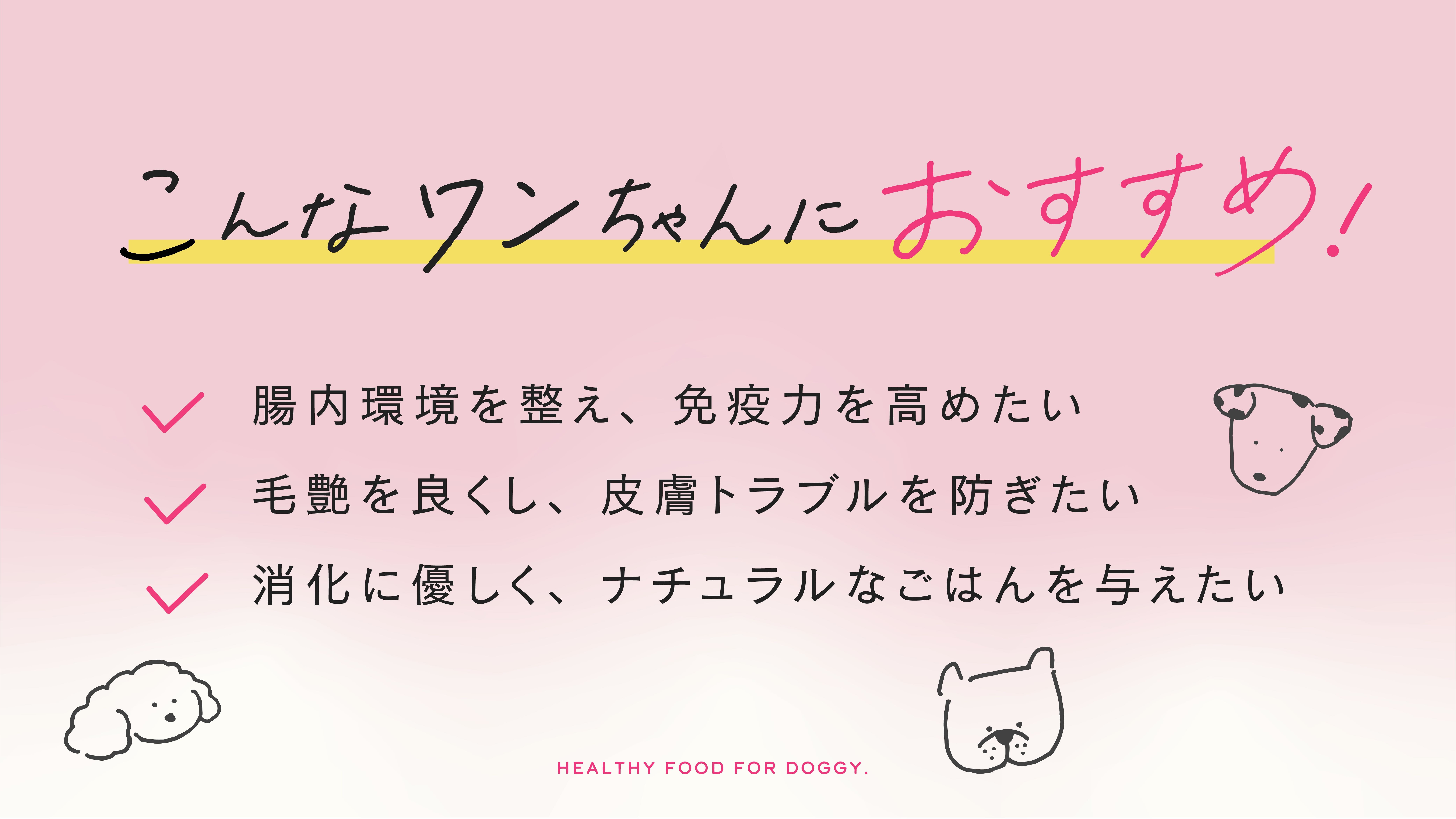 愛犬のための養生ごはんbycontatto
