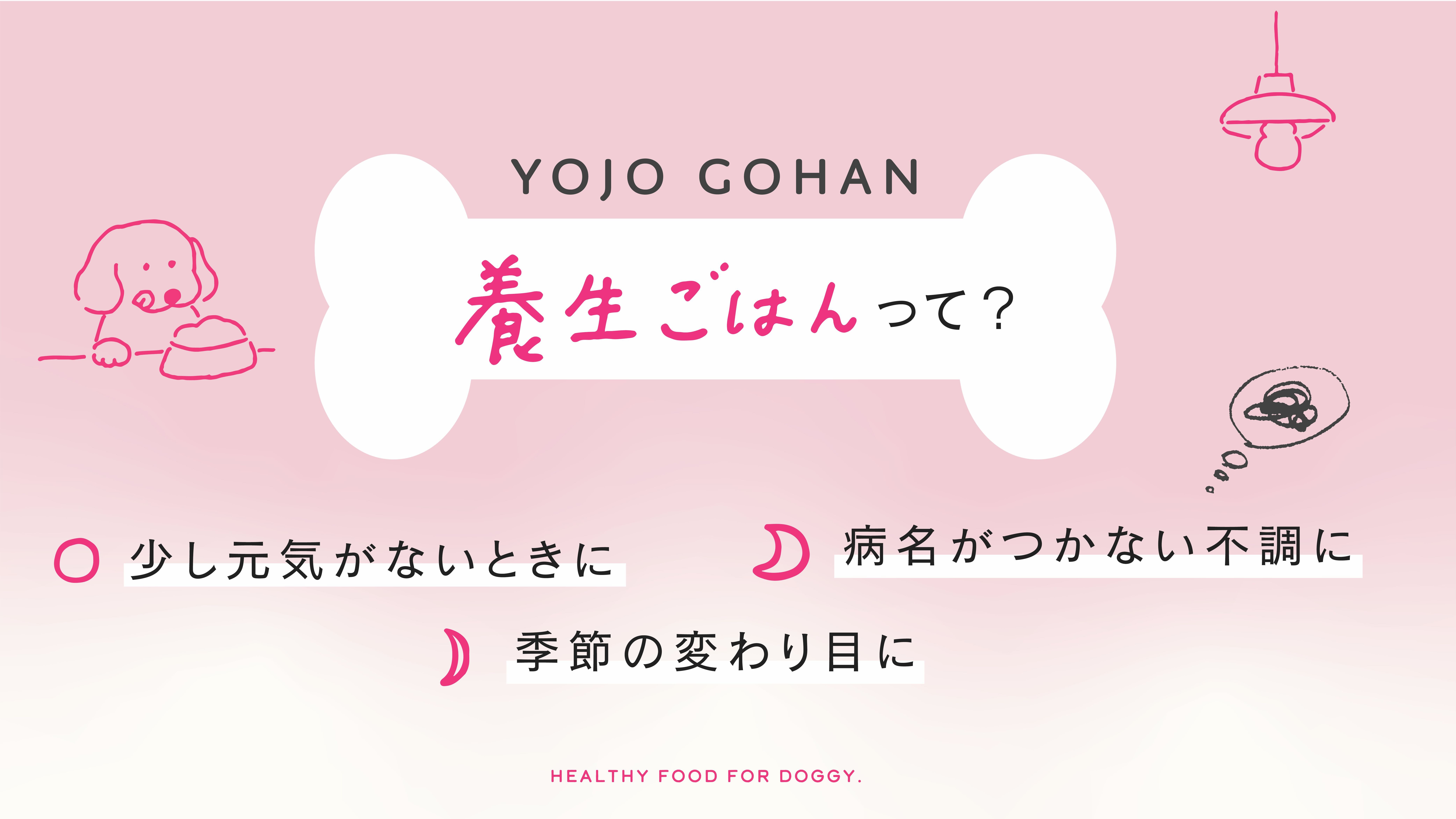 愛犬のための養生ごはんbycontatto