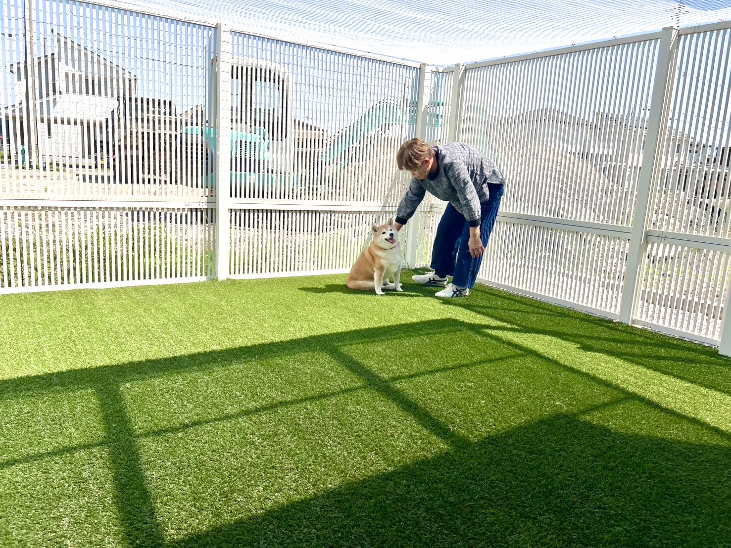 ドックランにて