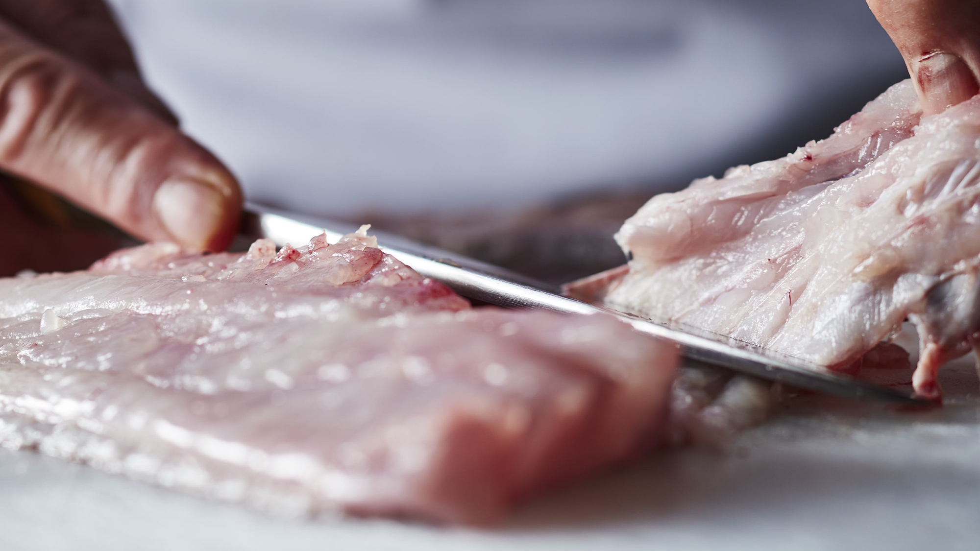 │料理イメージ│