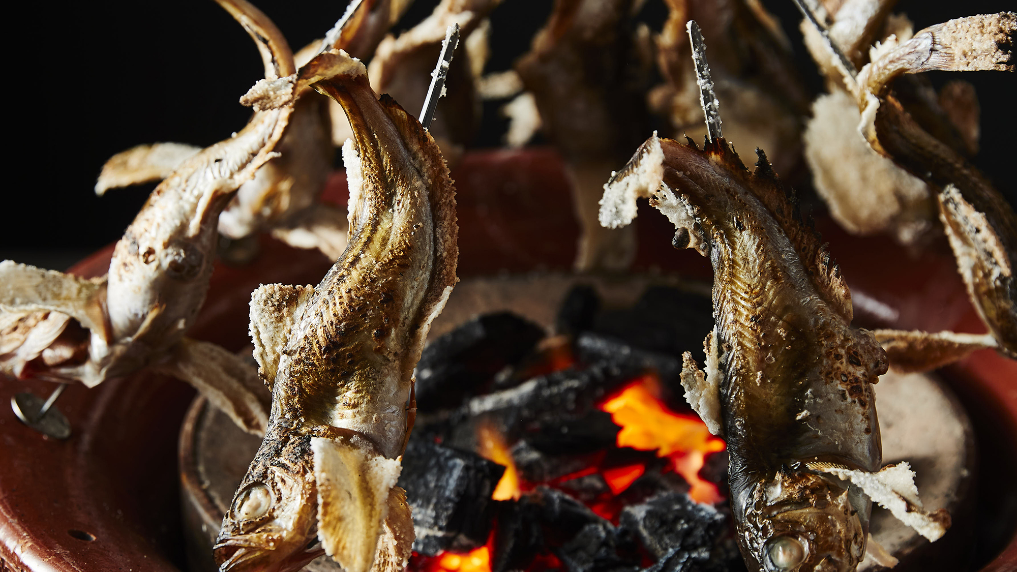 │料理イメージ│