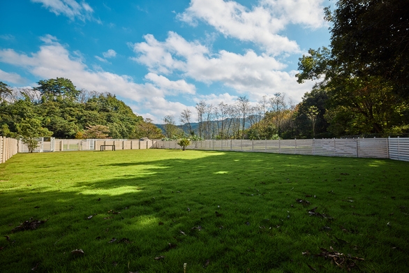 【600平米】愛犬とのびのびキャンプ広々キャンプサイトでしっぽが止まらない！