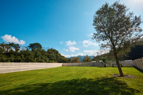 【470平米】愛犬とのびのびキャンプ広々キャンプサイトでしっぽが止まらない！