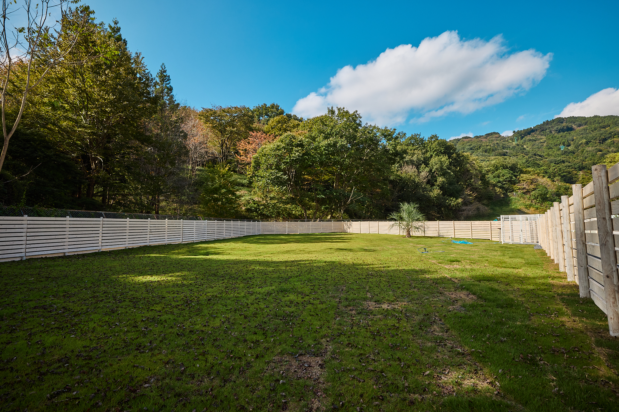 キャンプサイトC