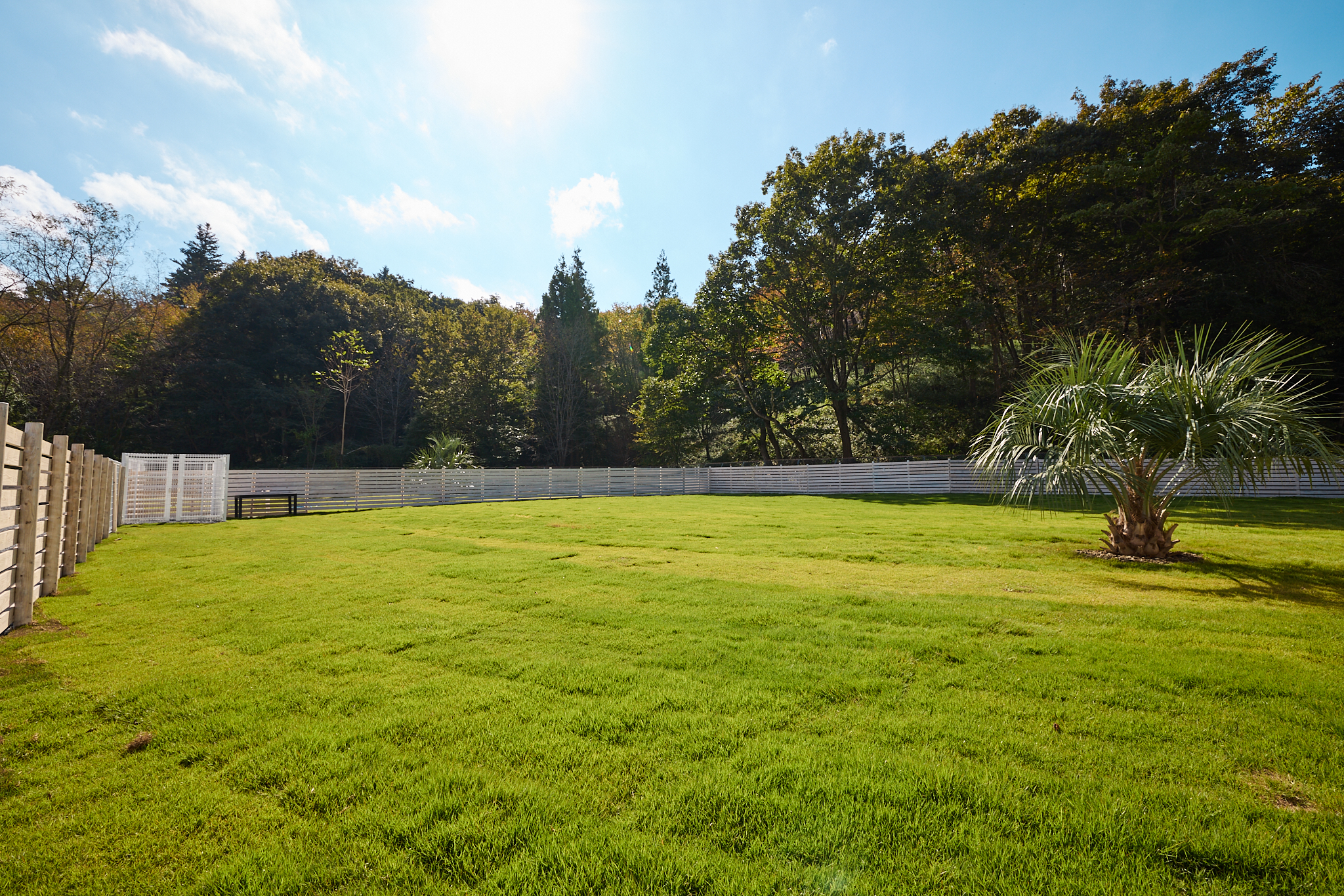 キャンプサイトB