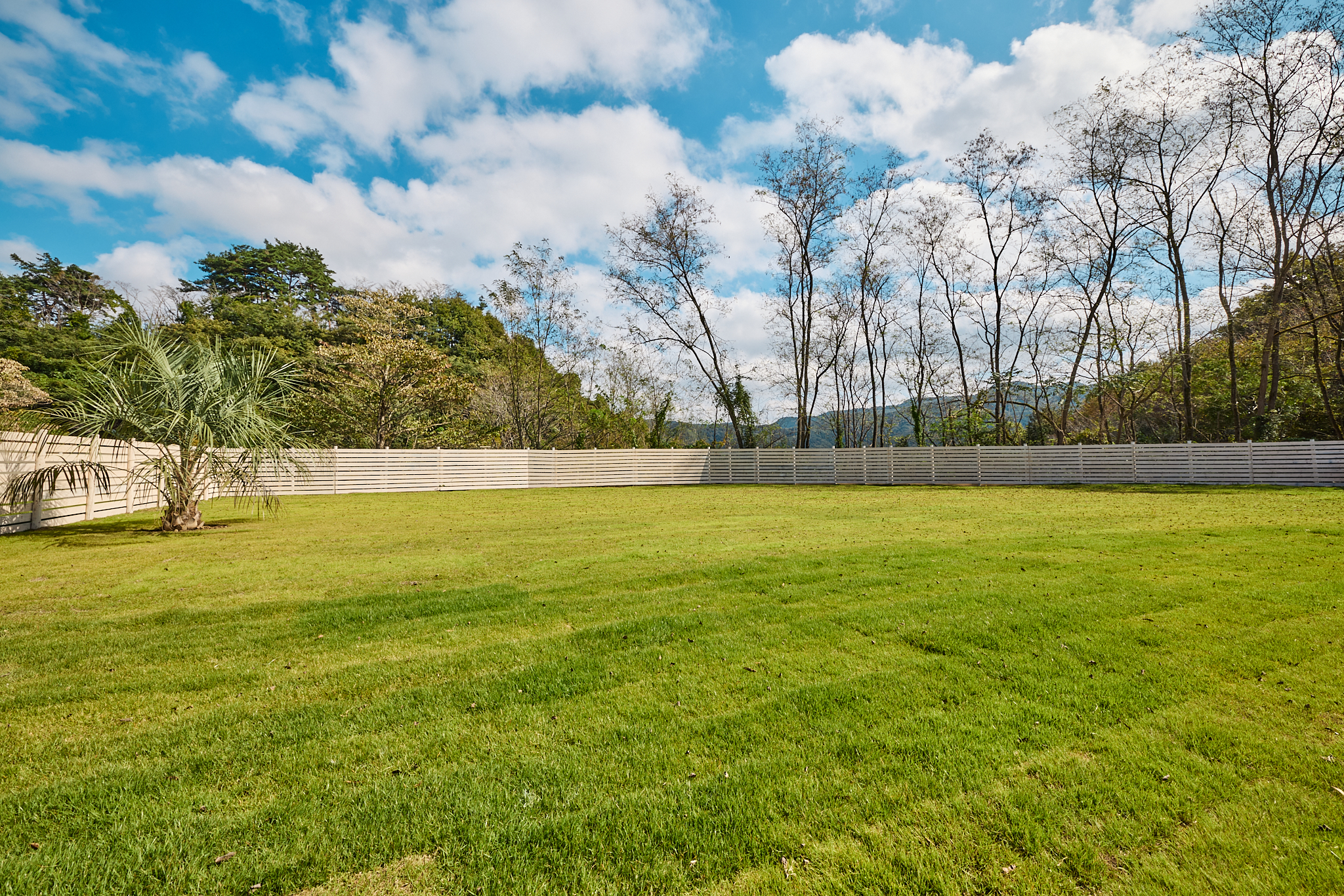 キャンプサイトG