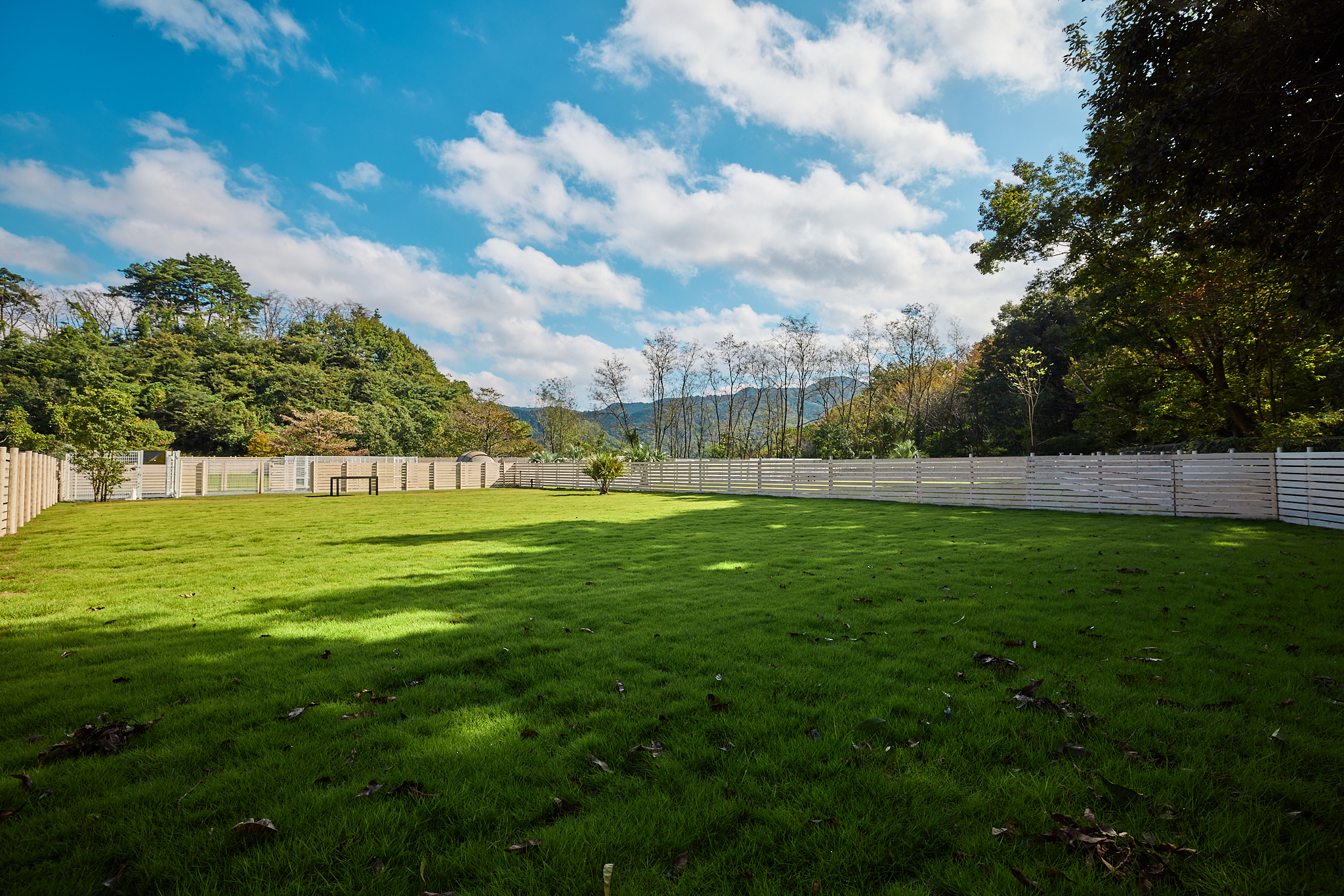 キャンプサイトA