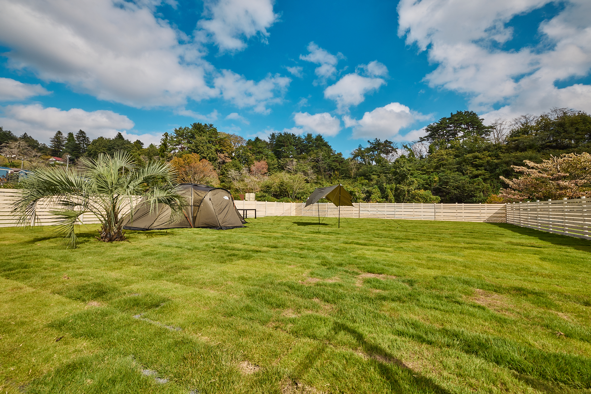 キャンプサイトE