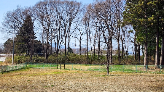 【お盆専用朝食付】那須高原でワンちゃんと過ごす癒し旅！独立型コテージと550坪のドッグランが魅力の宿